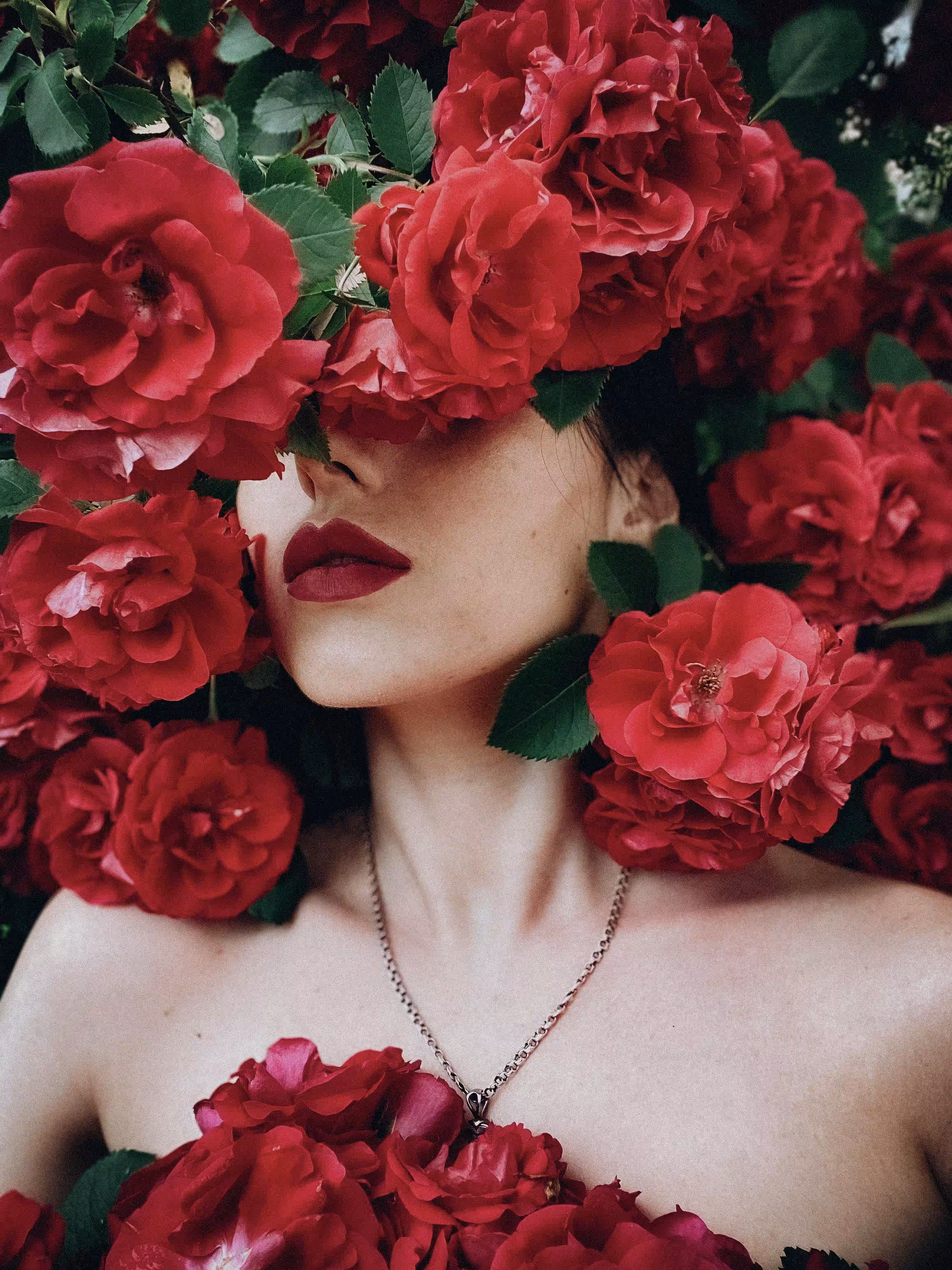 Floral Aesthetics