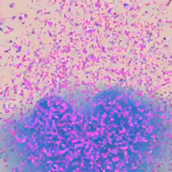All is possible