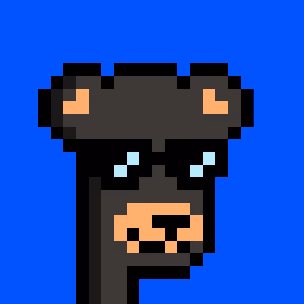 BearPunks #5045
