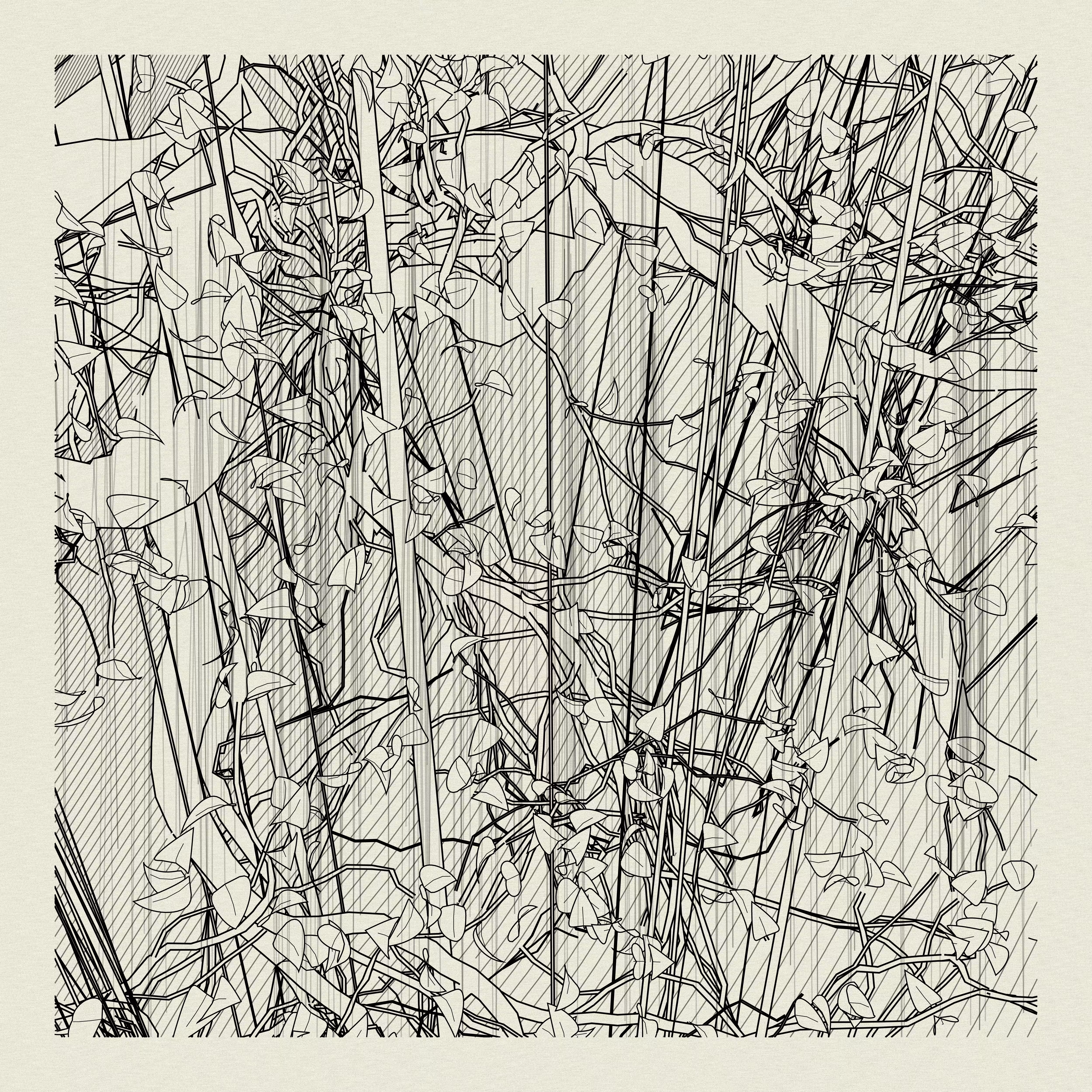 A Bugged Forest #77