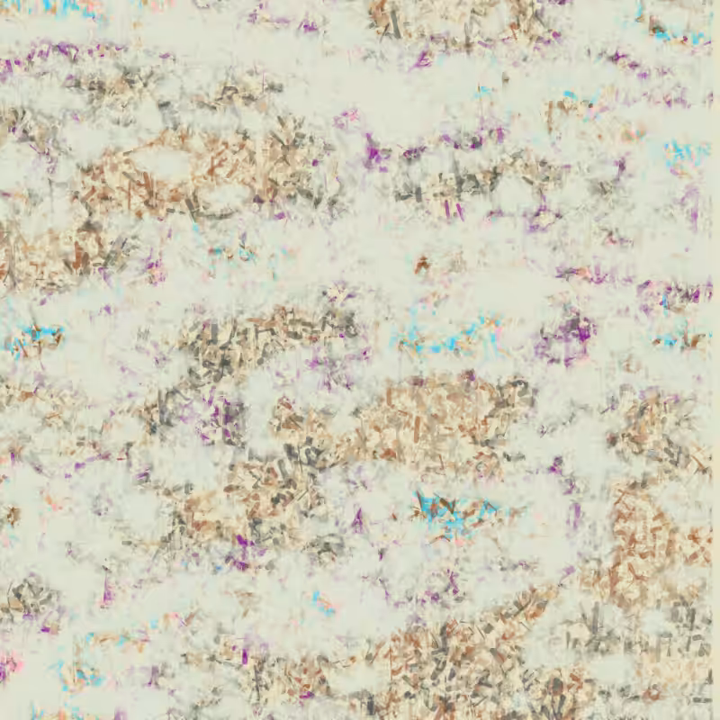 Petri 1500 #554