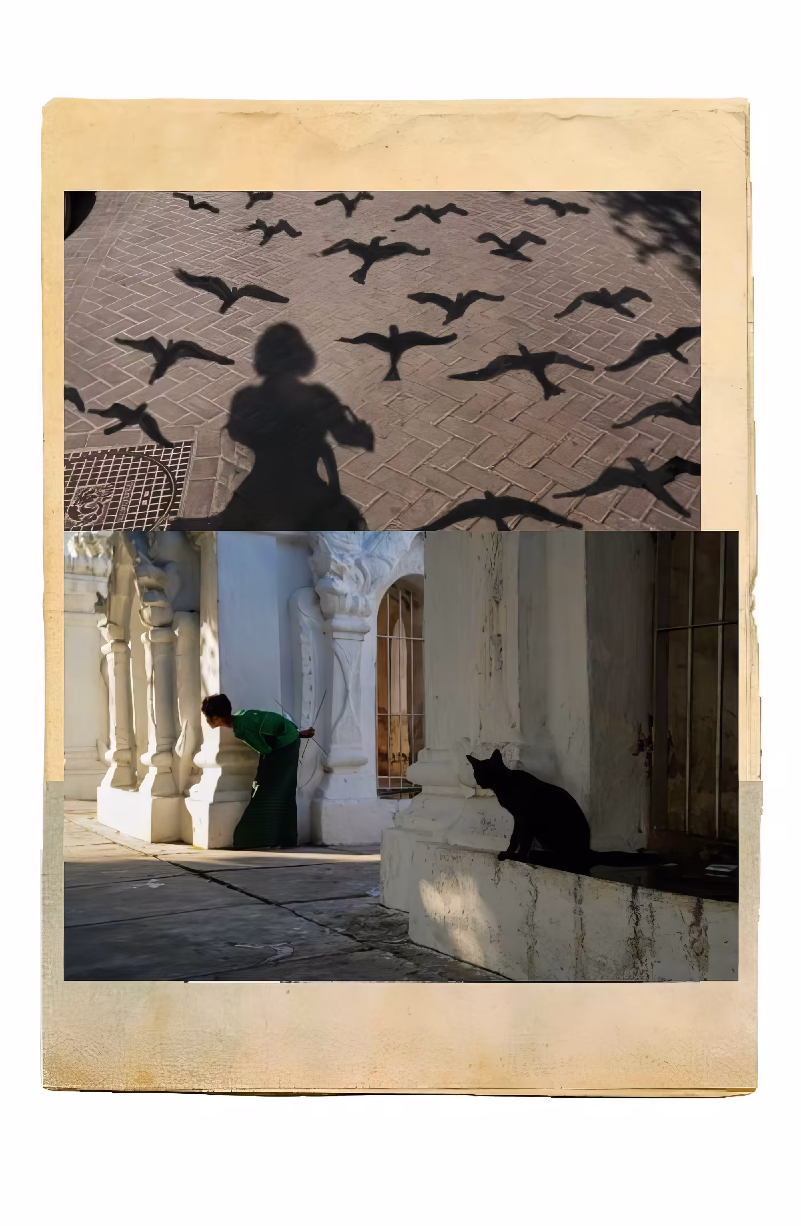 Two Ways of Being Seen