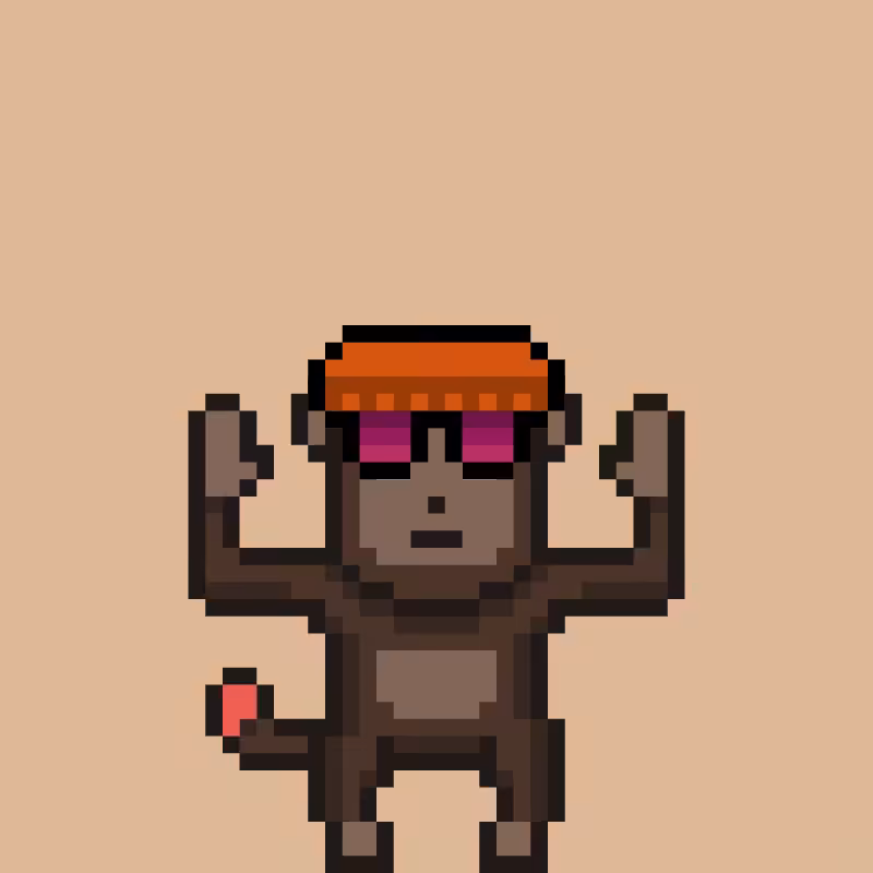fxMonkeys #6