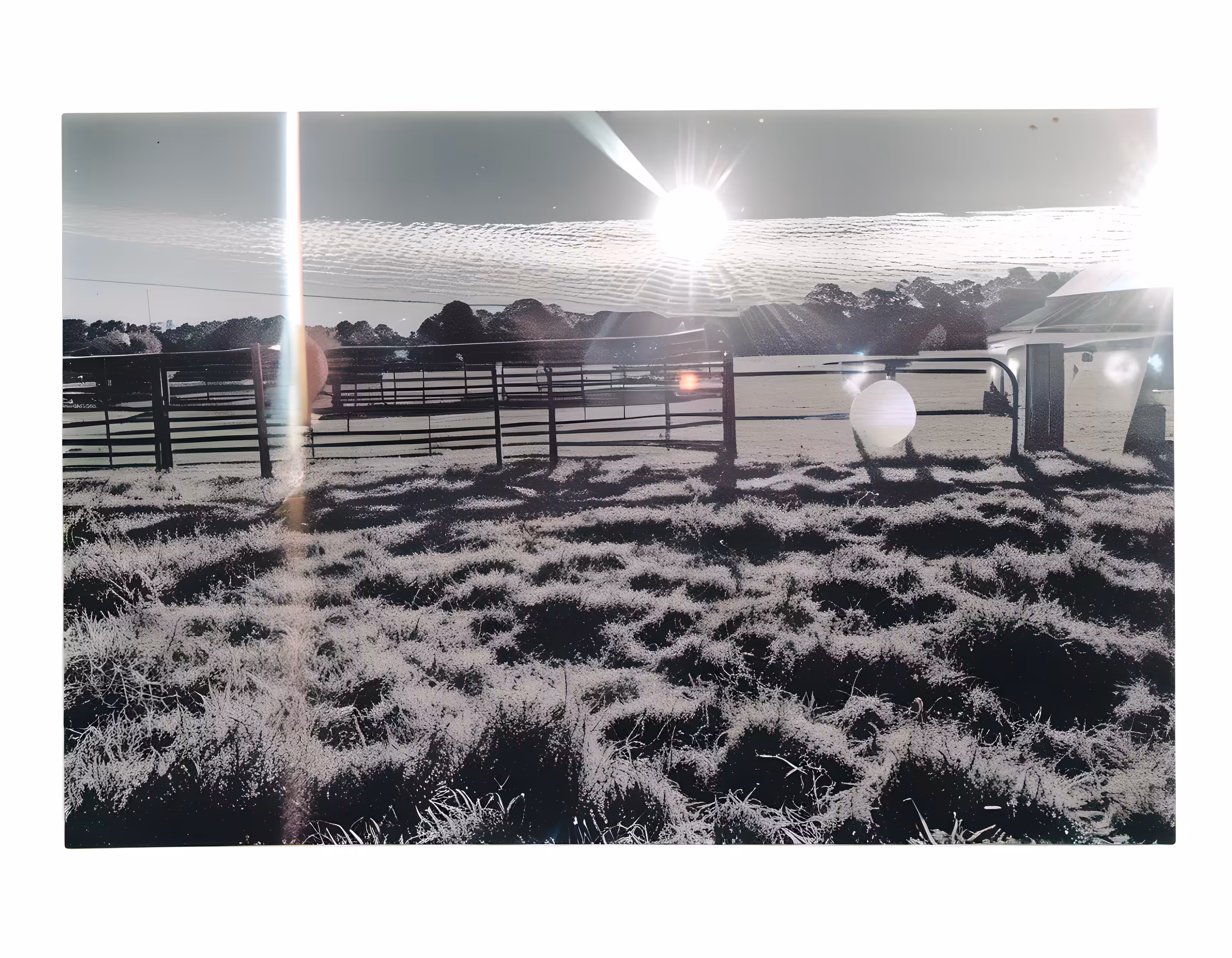 SYNTHETIC PHOTOGRAPHY RAW #59