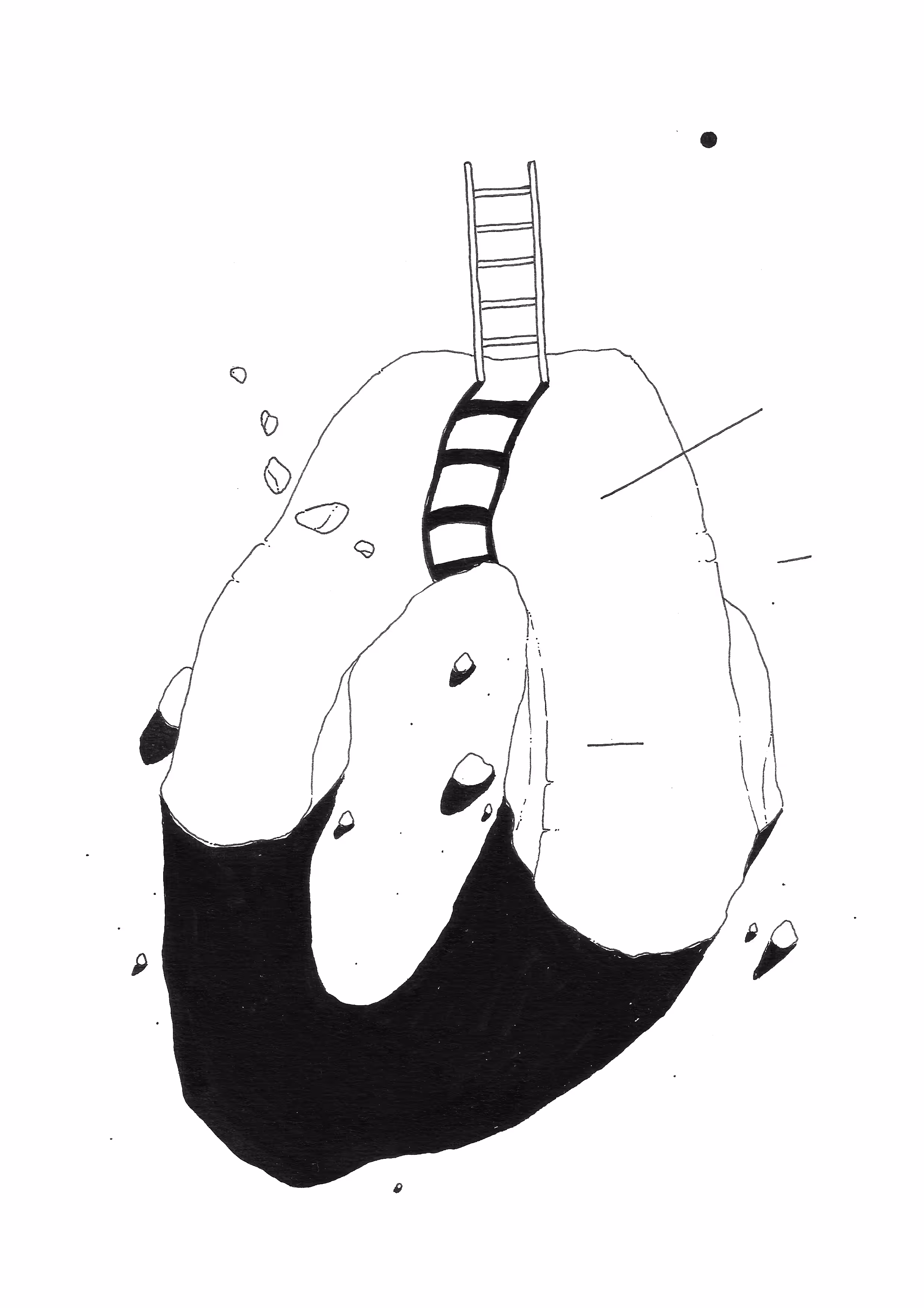 OR02