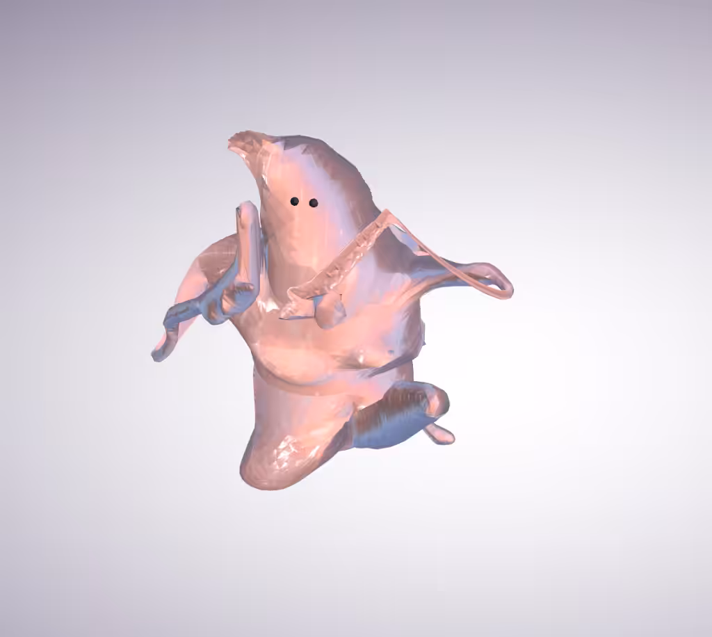 OUTSIDERS*DerChef*Flies