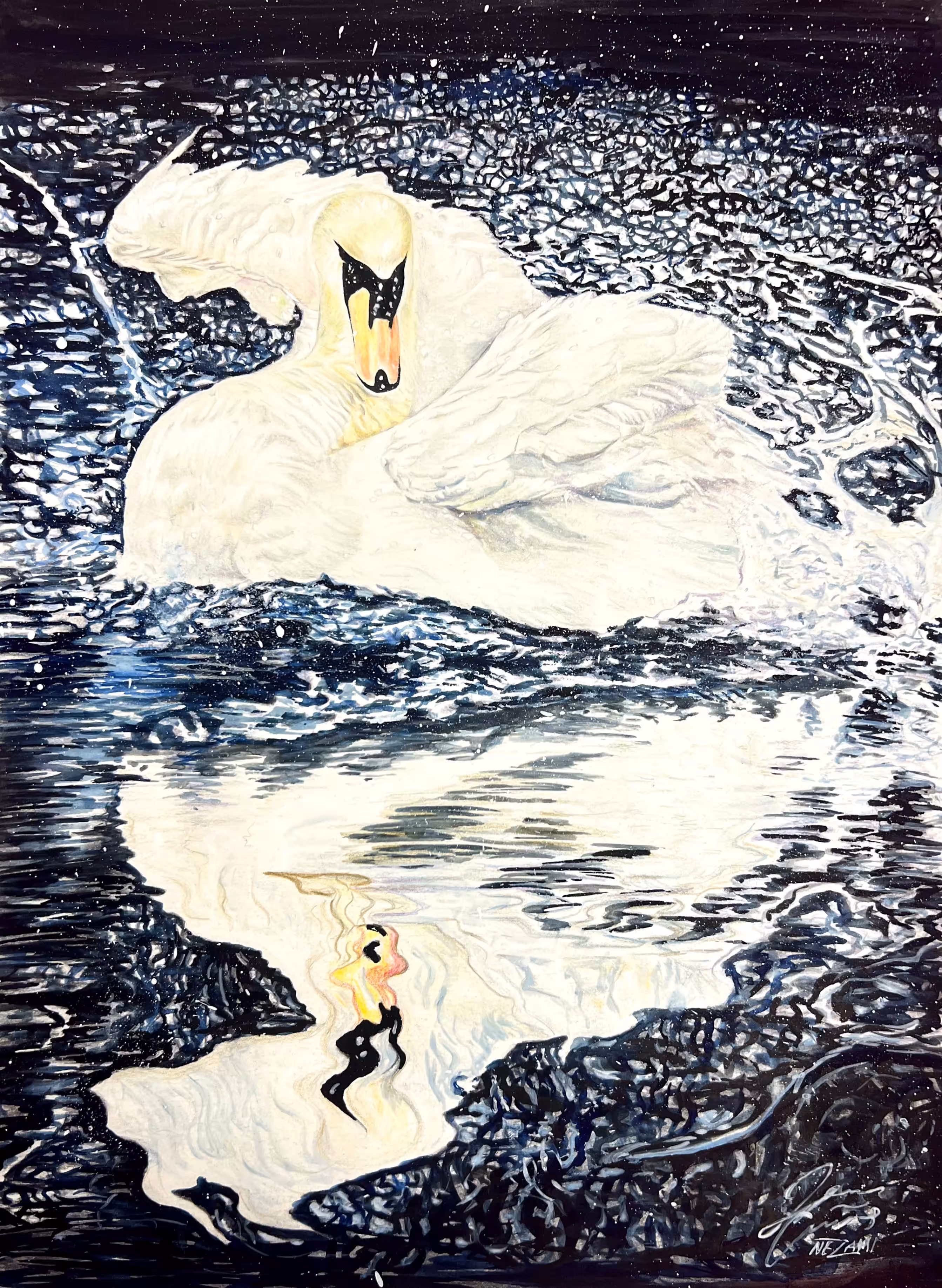 swan 