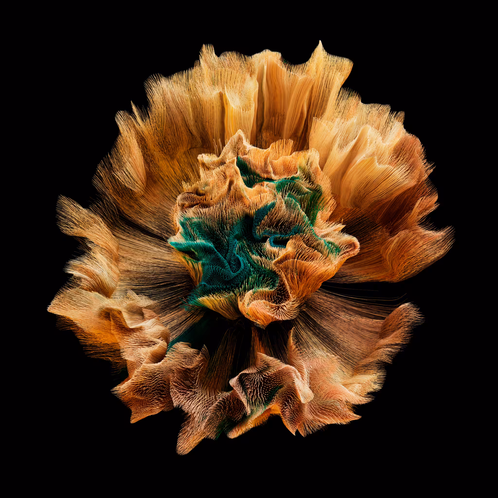 Desert Flower