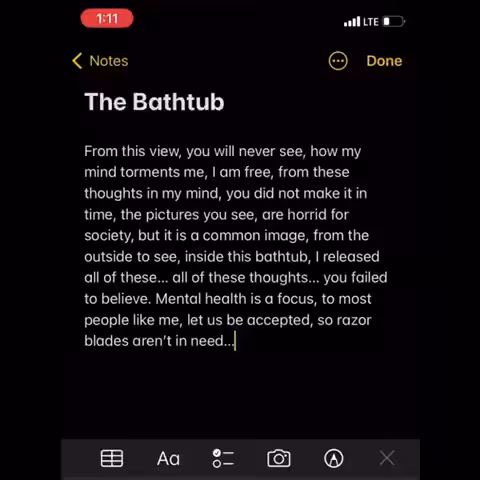 The Bathtub 