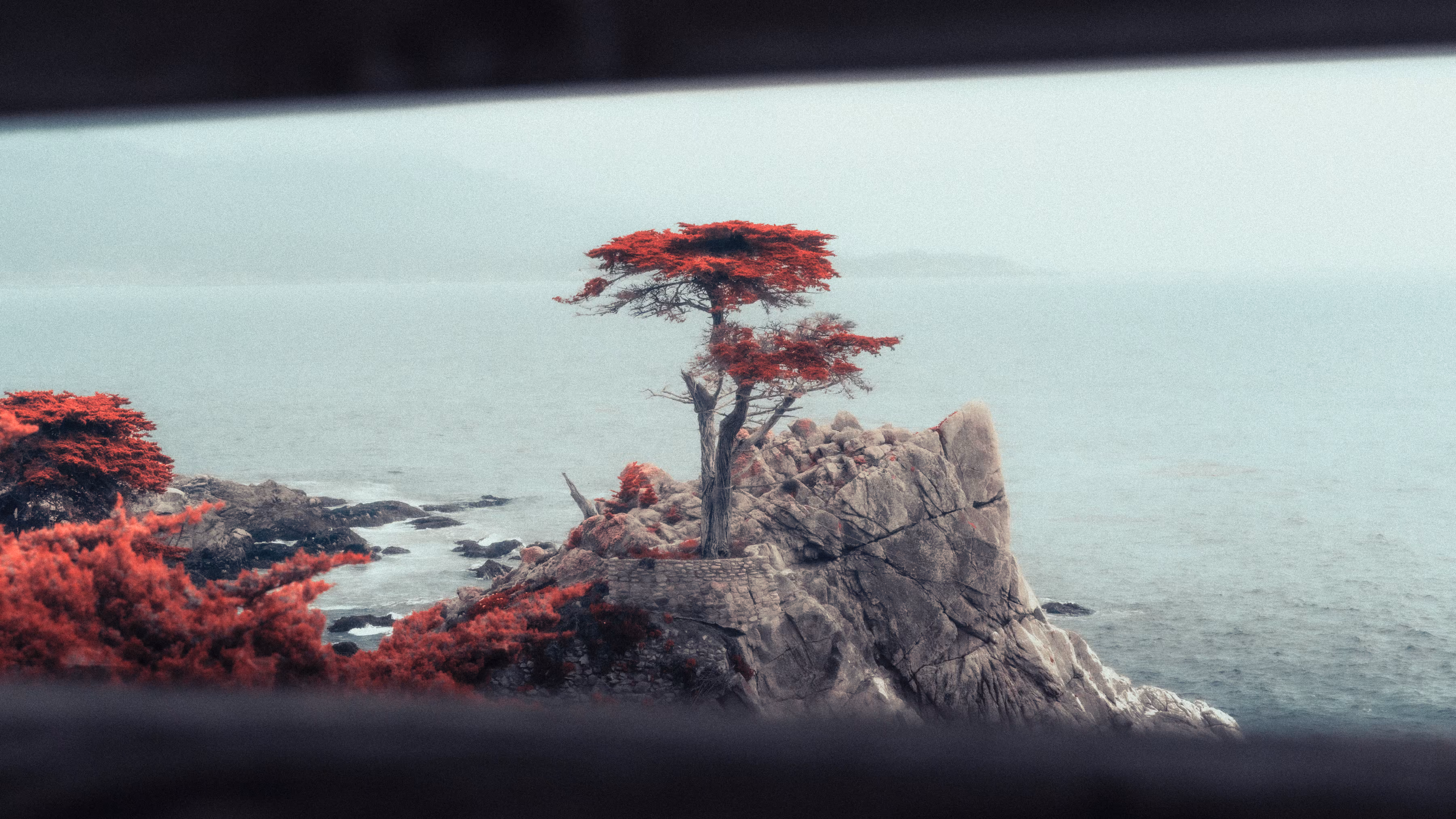 Anomalies IV: Foggy Horizons