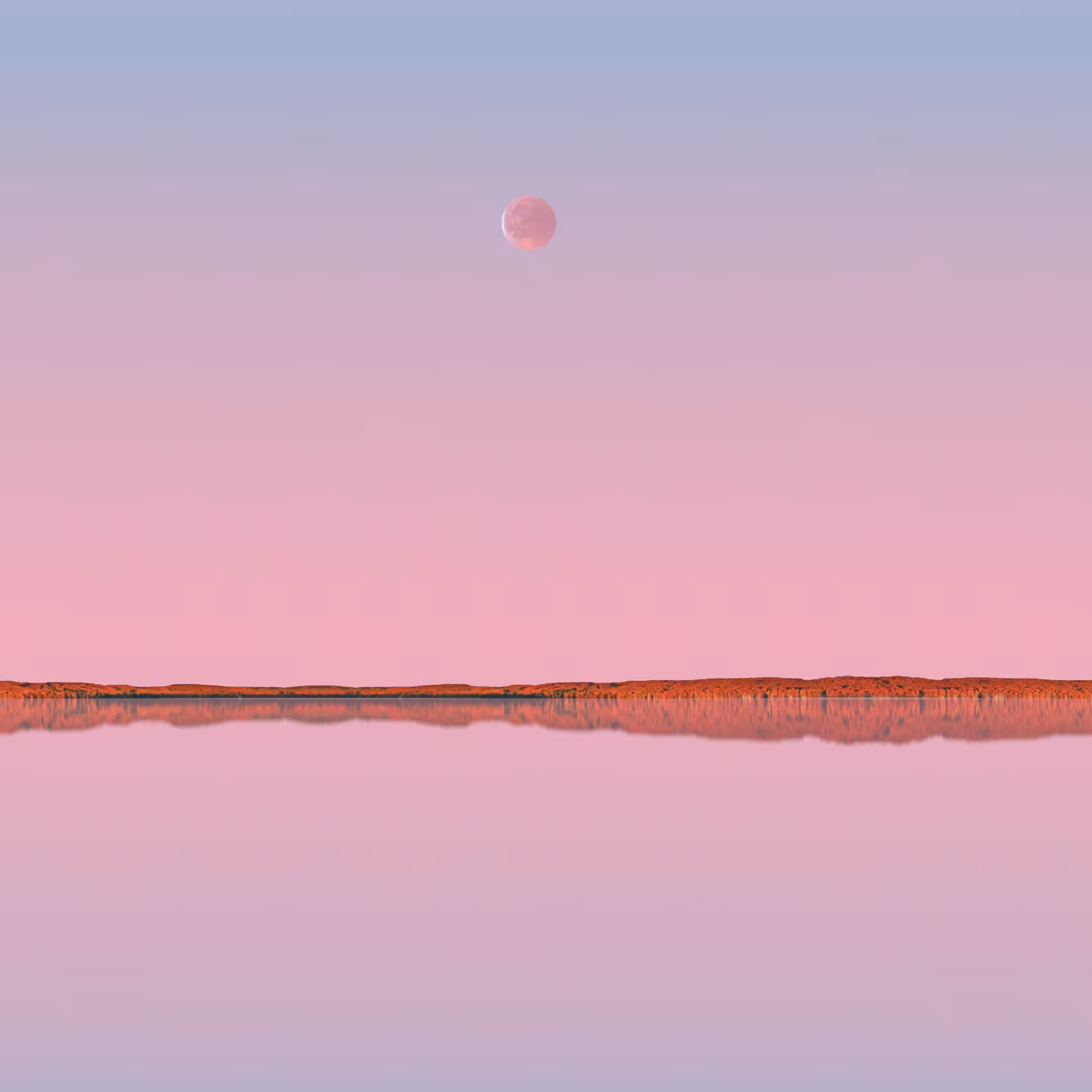 The.pink.hood Ozarks