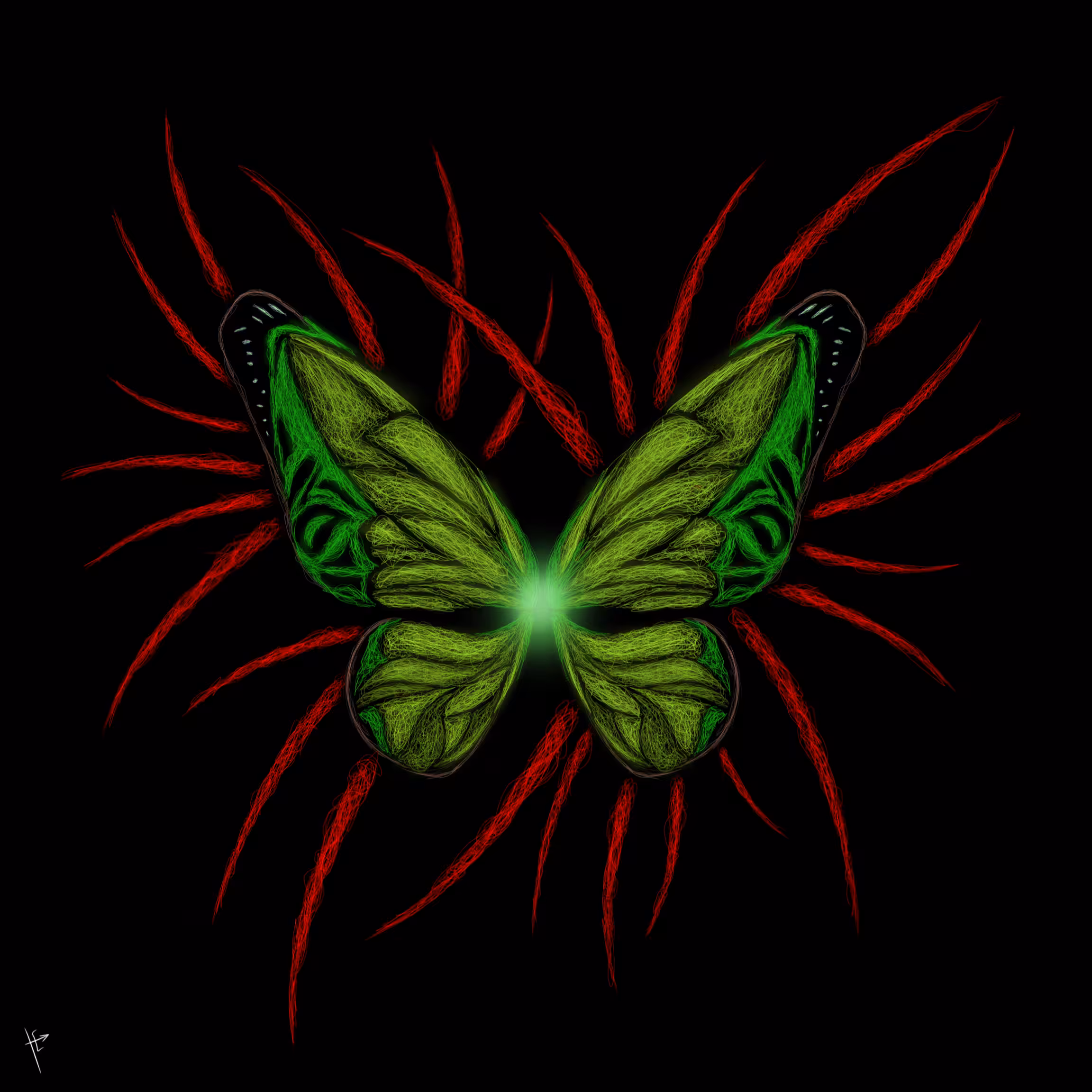 Butterfly (evolution)
