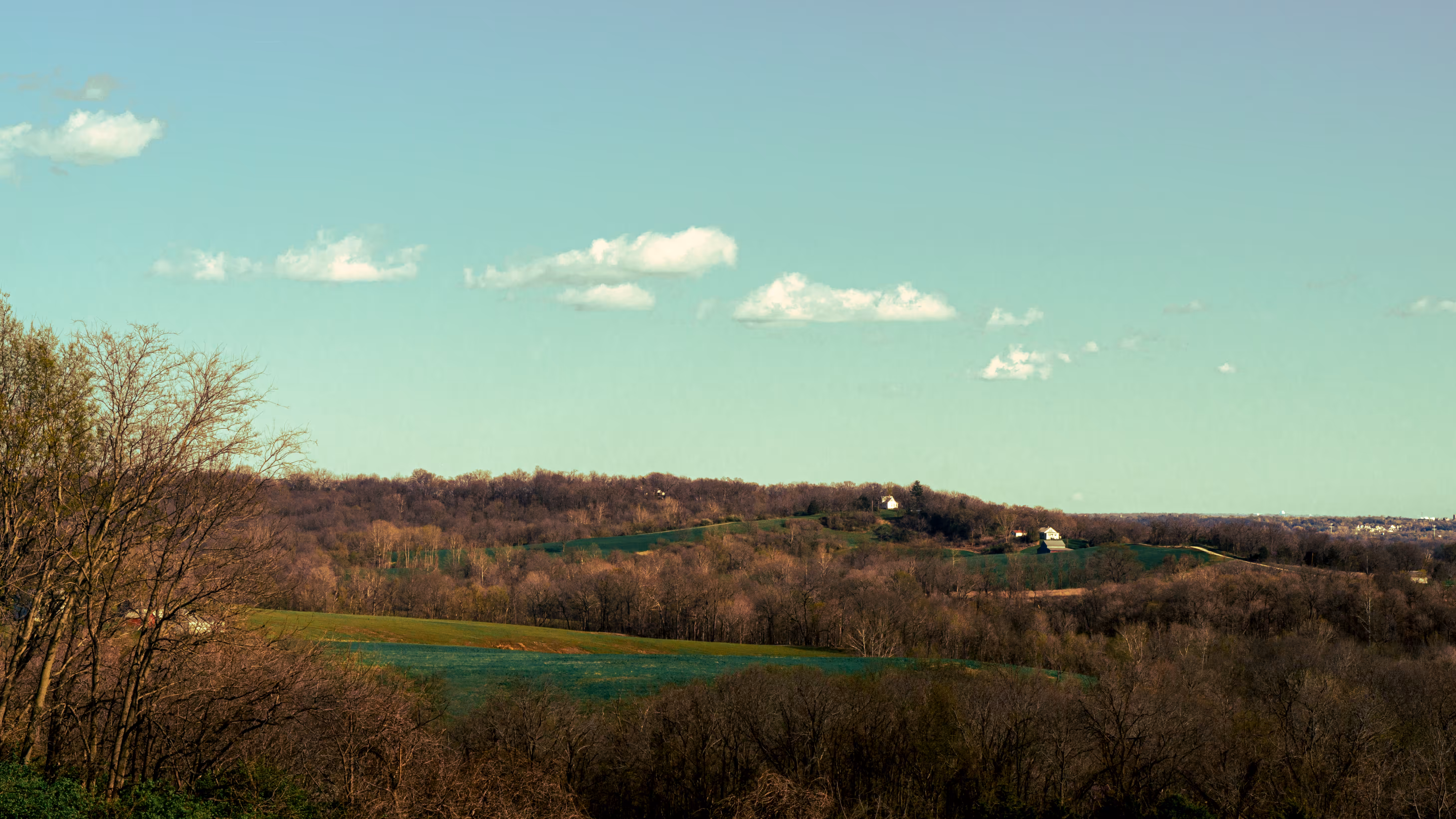 landscape 233