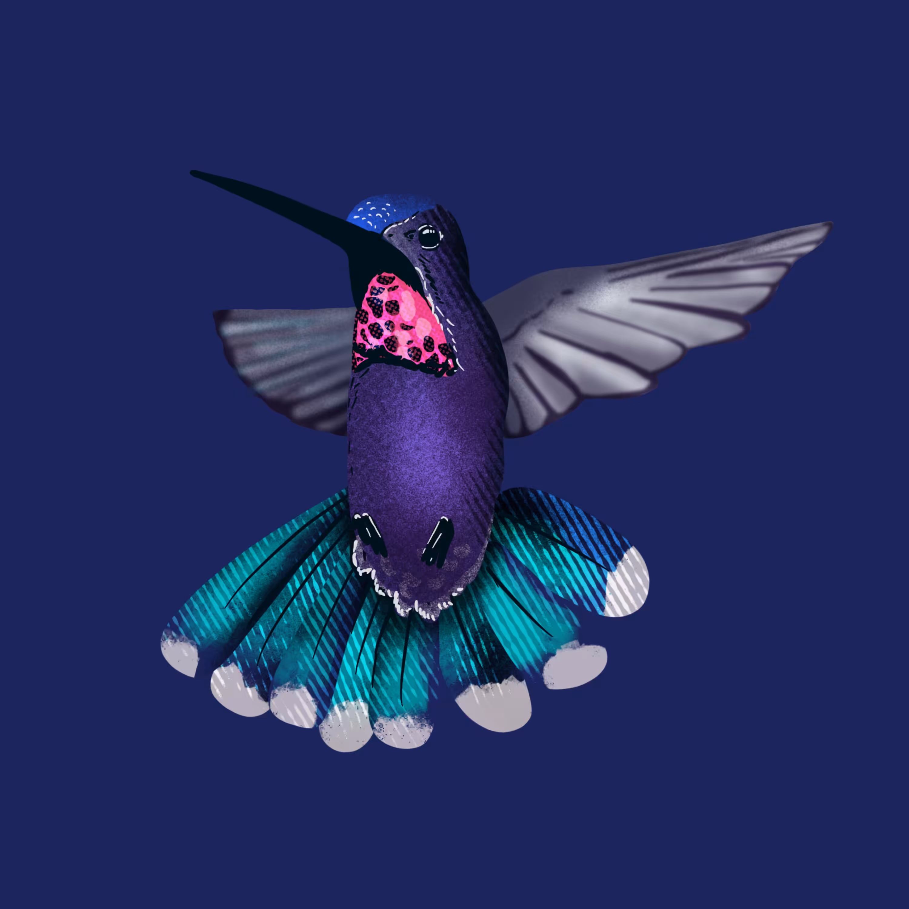 Hummingbird in Flight