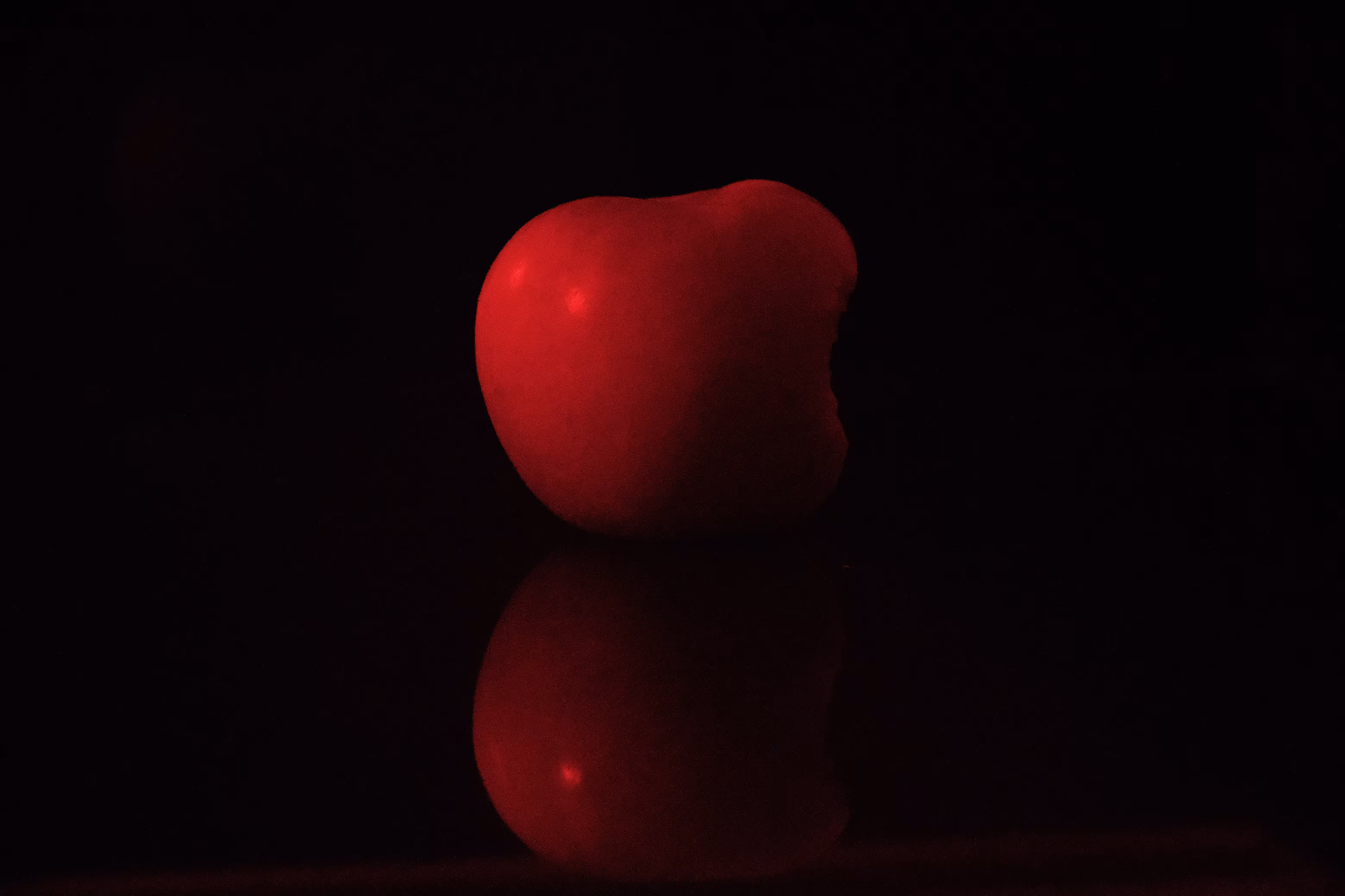 Photographer's DNA - #22