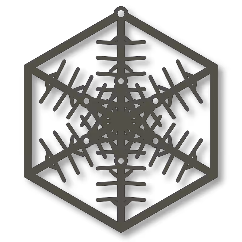 fx(ornament) 2022 #163