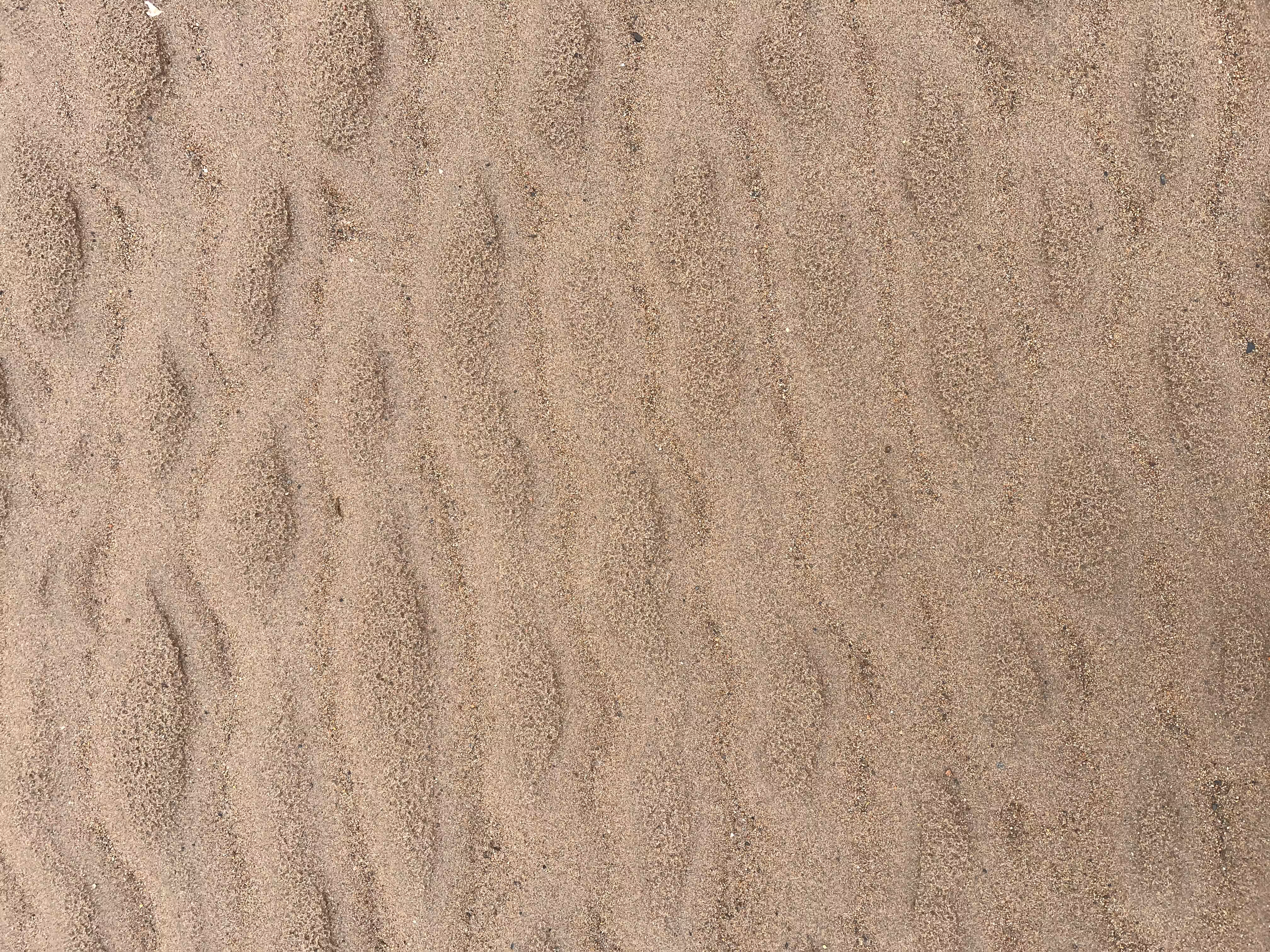 Sine on the beach