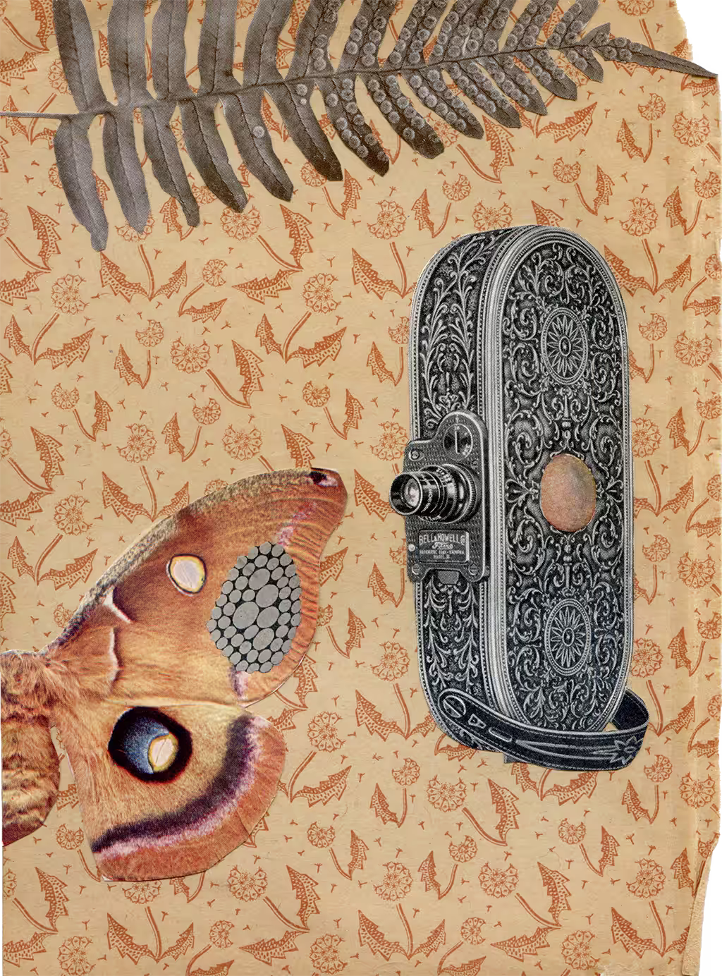 Documenting Nature