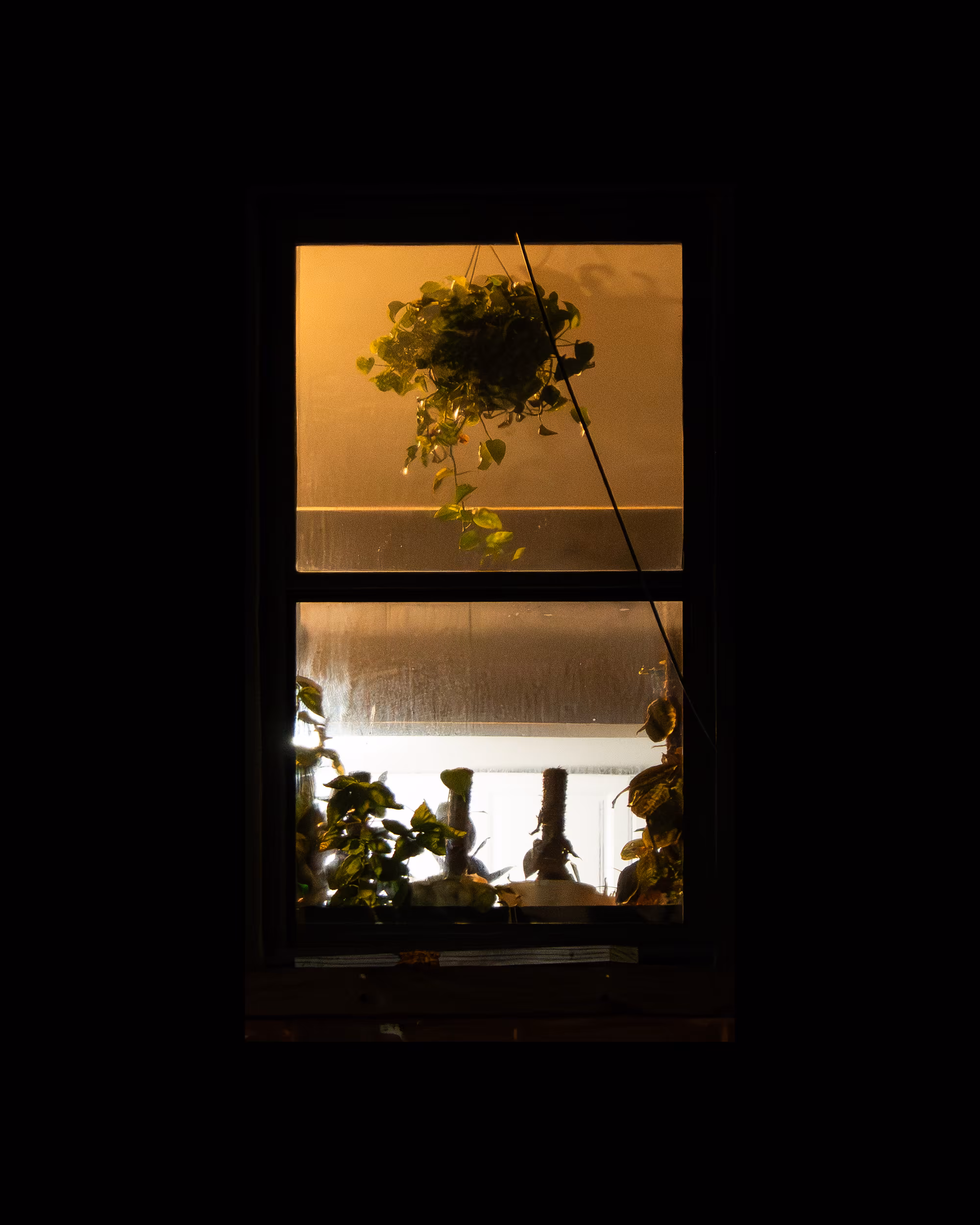 WINDOW 147