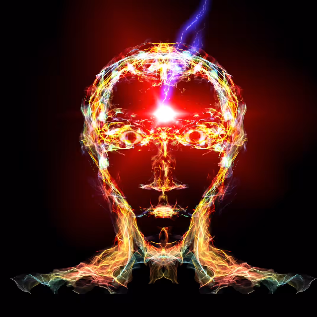 INTELLIGENZ: Bolto