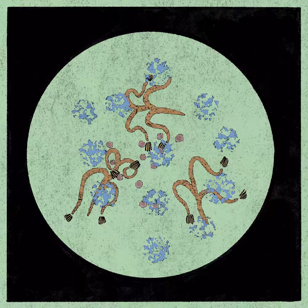 Microbes #77