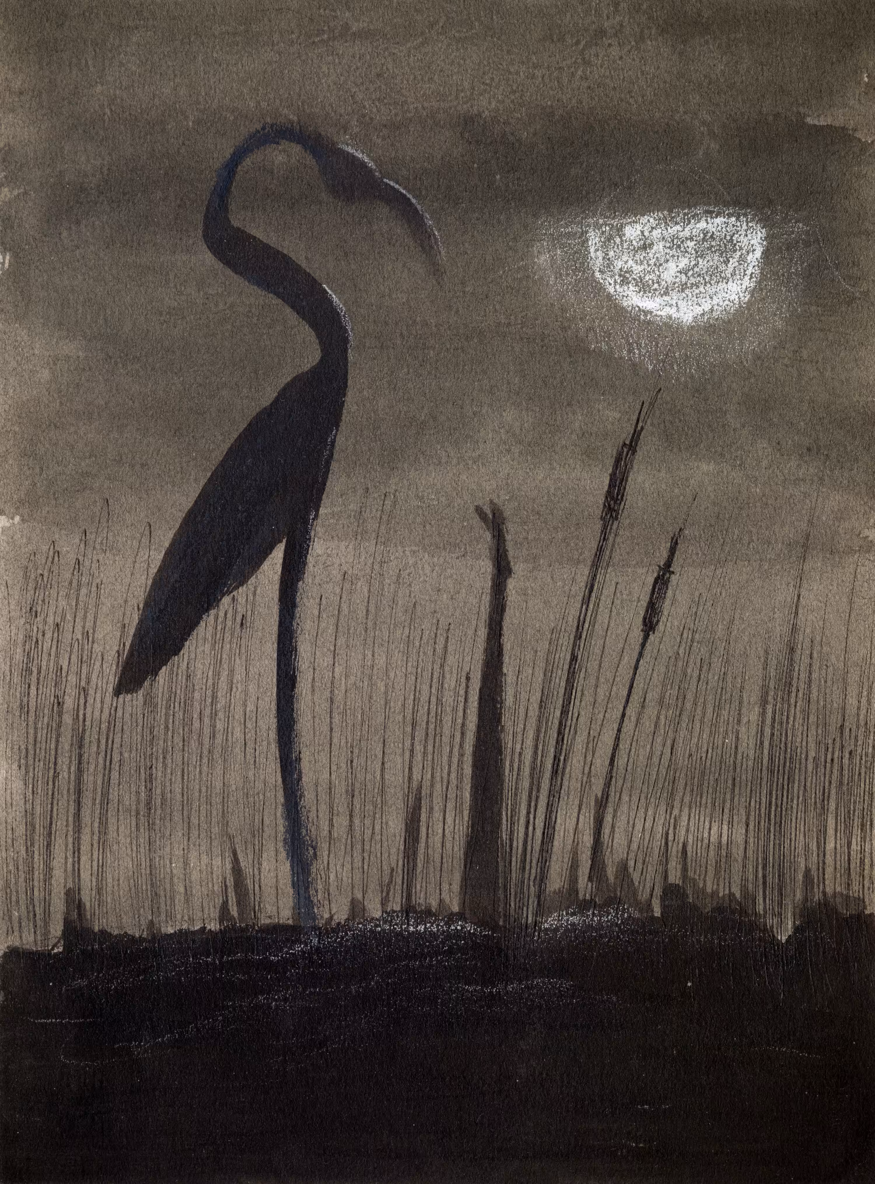 Midnight Flamingo