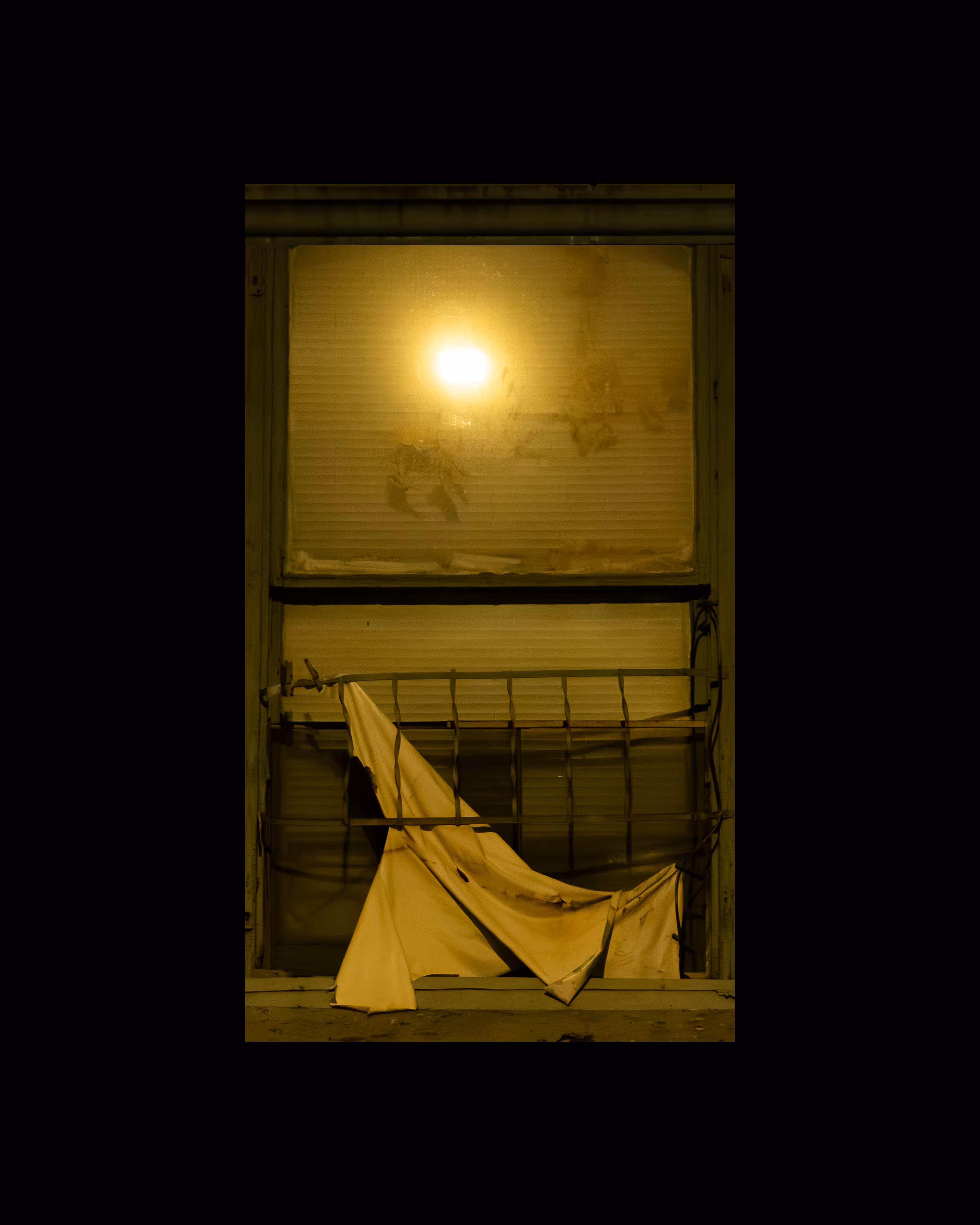 WINDOWS // NYC: WINDOW 839