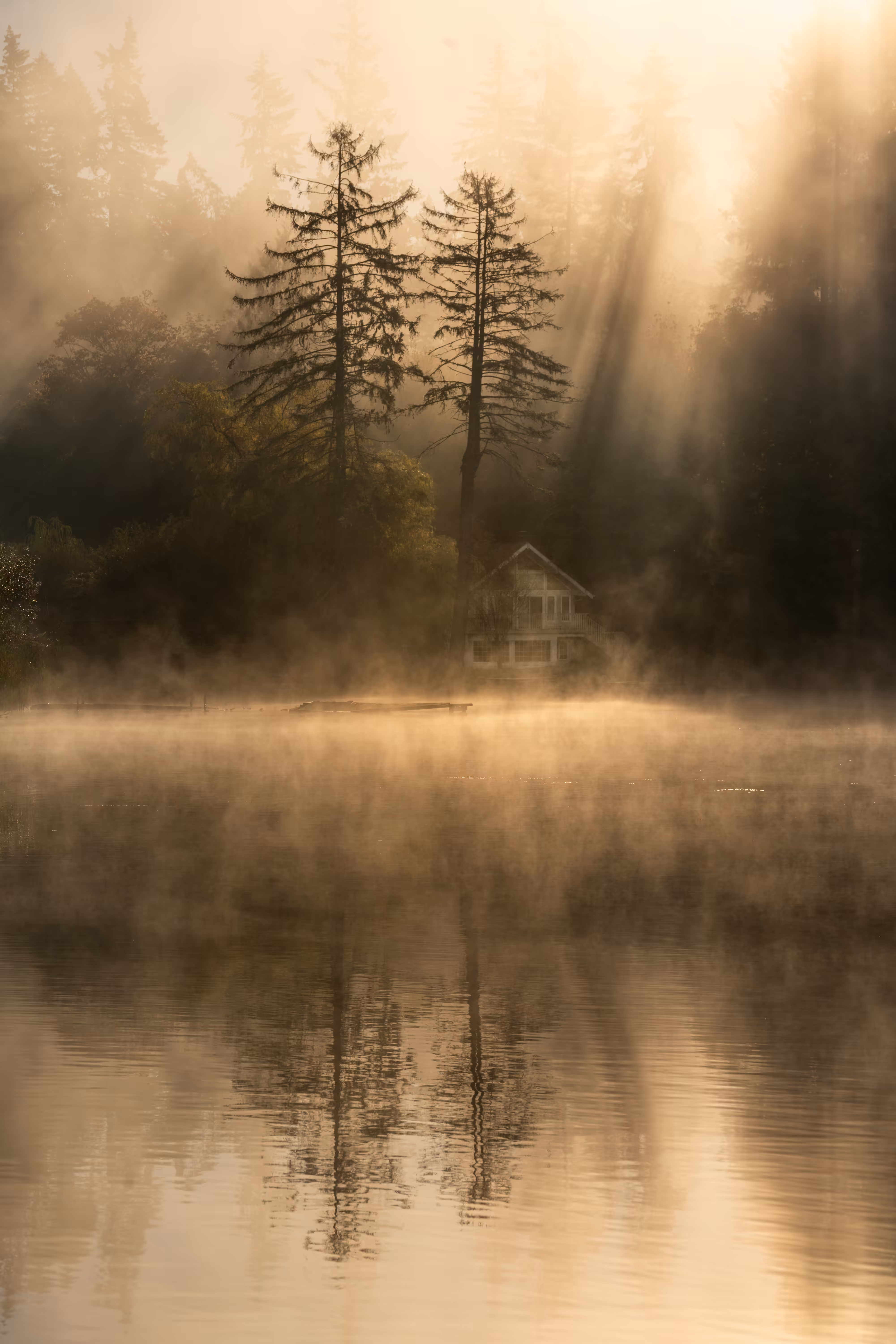 Edge of Solace