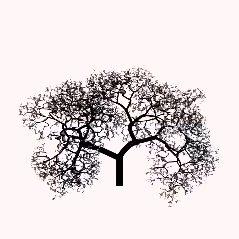 Bézier Bloom #12