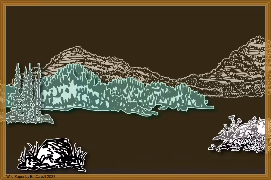 Capture Bigfoot - Wild Paper Series #169