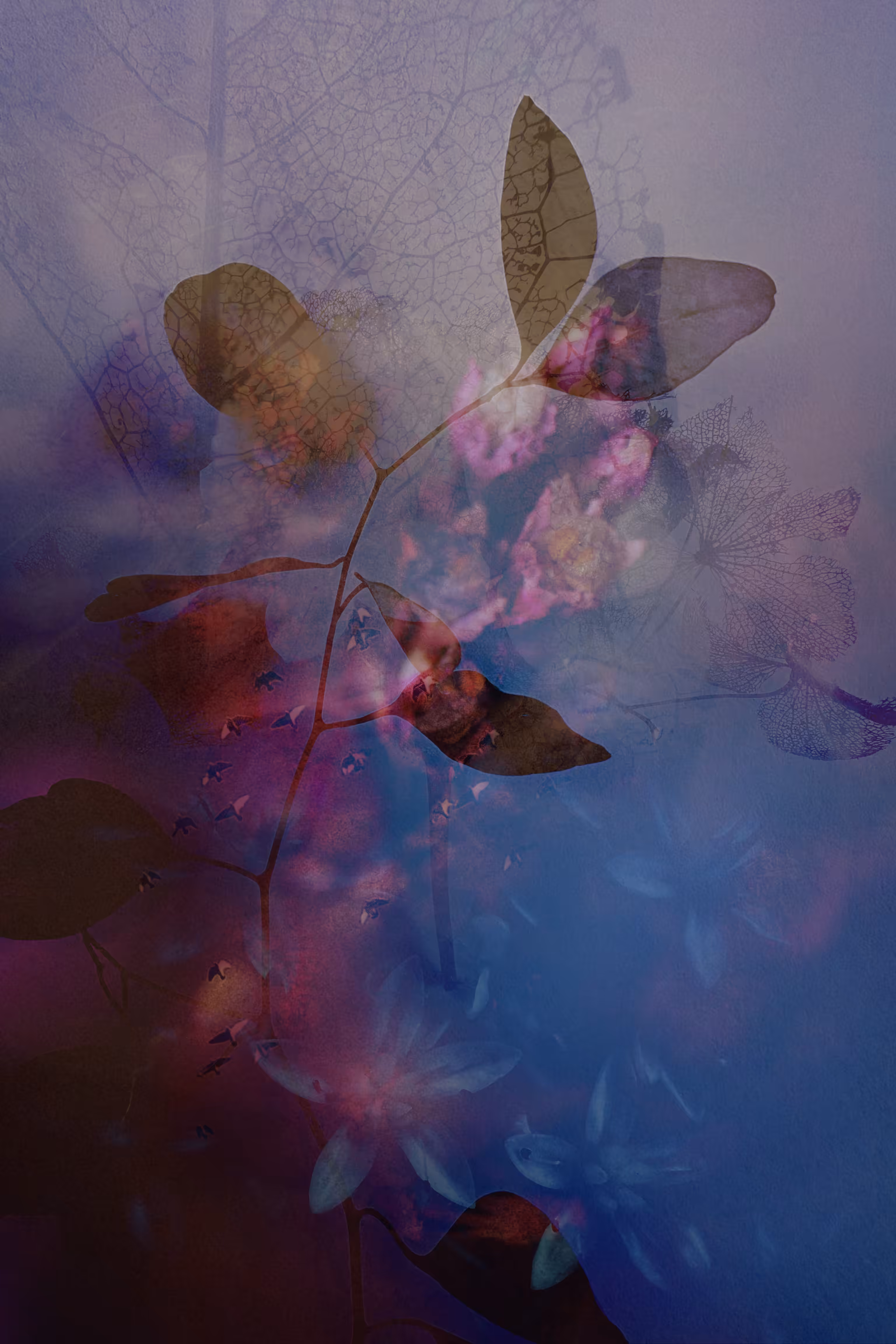 Floral Dreams: Dream Maker