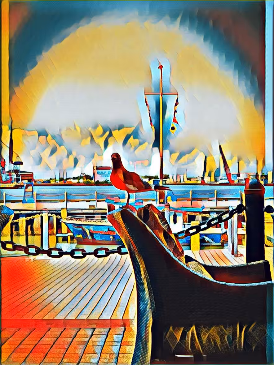BIRD THE WORD