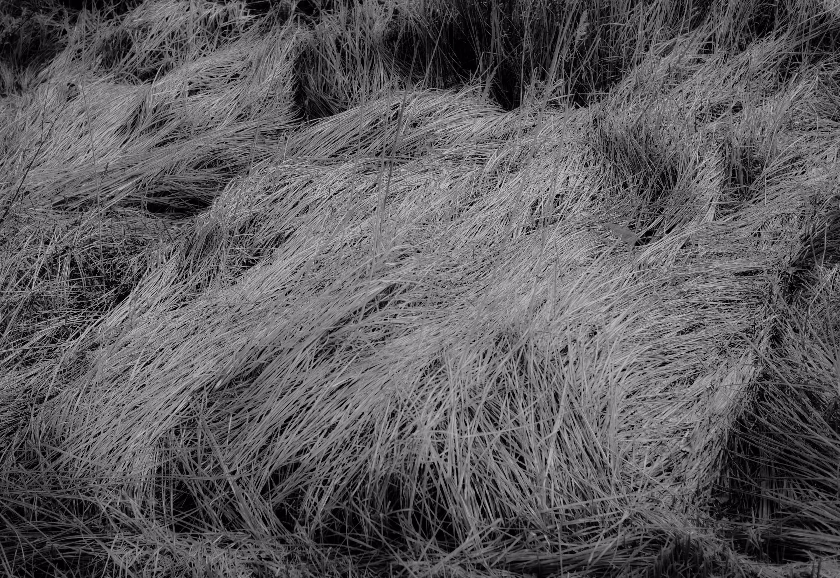 untitled directions