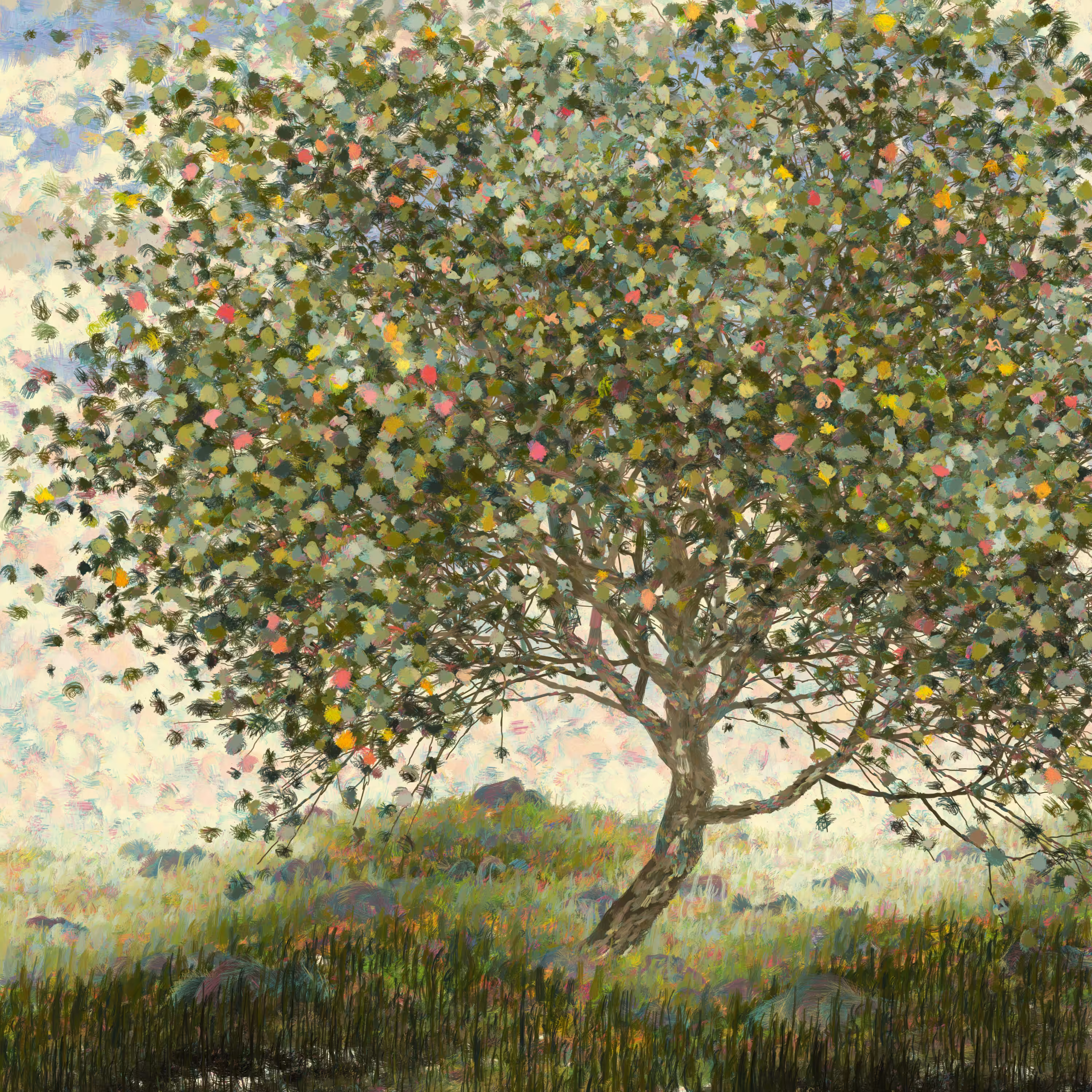 Rodeo posts: Tree in Early Fall, Part 2