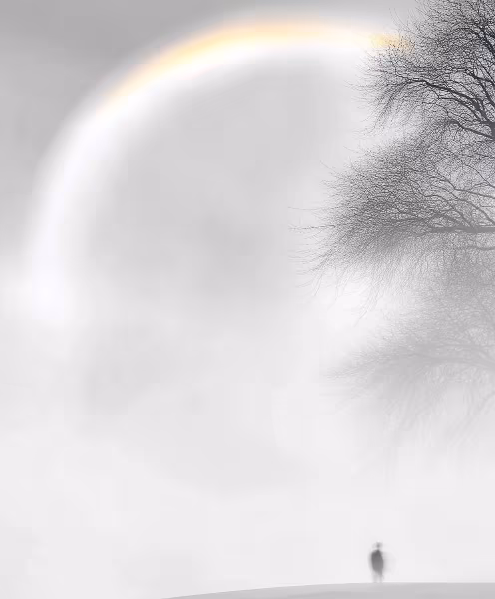 The White Rainbow
