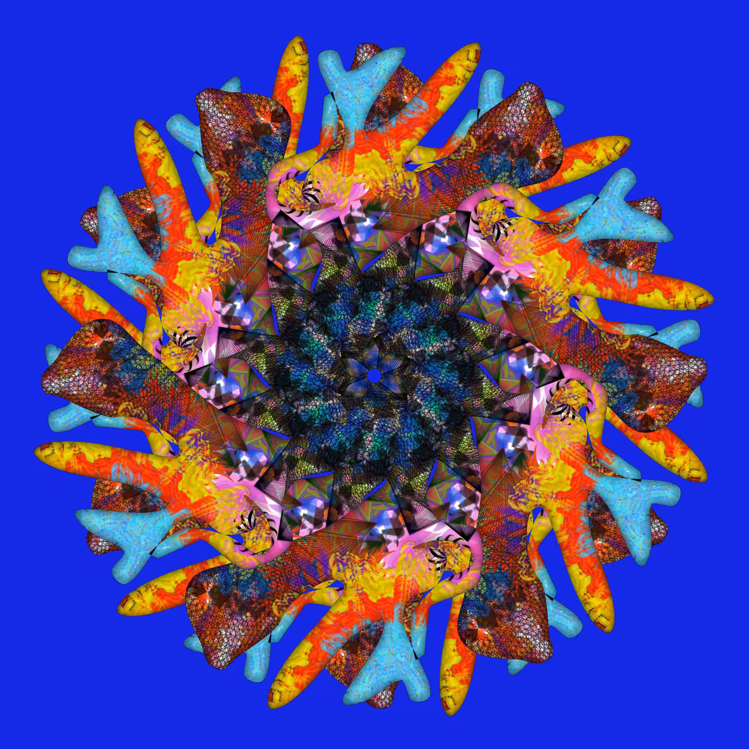 I don't even recognize this Coral Reef