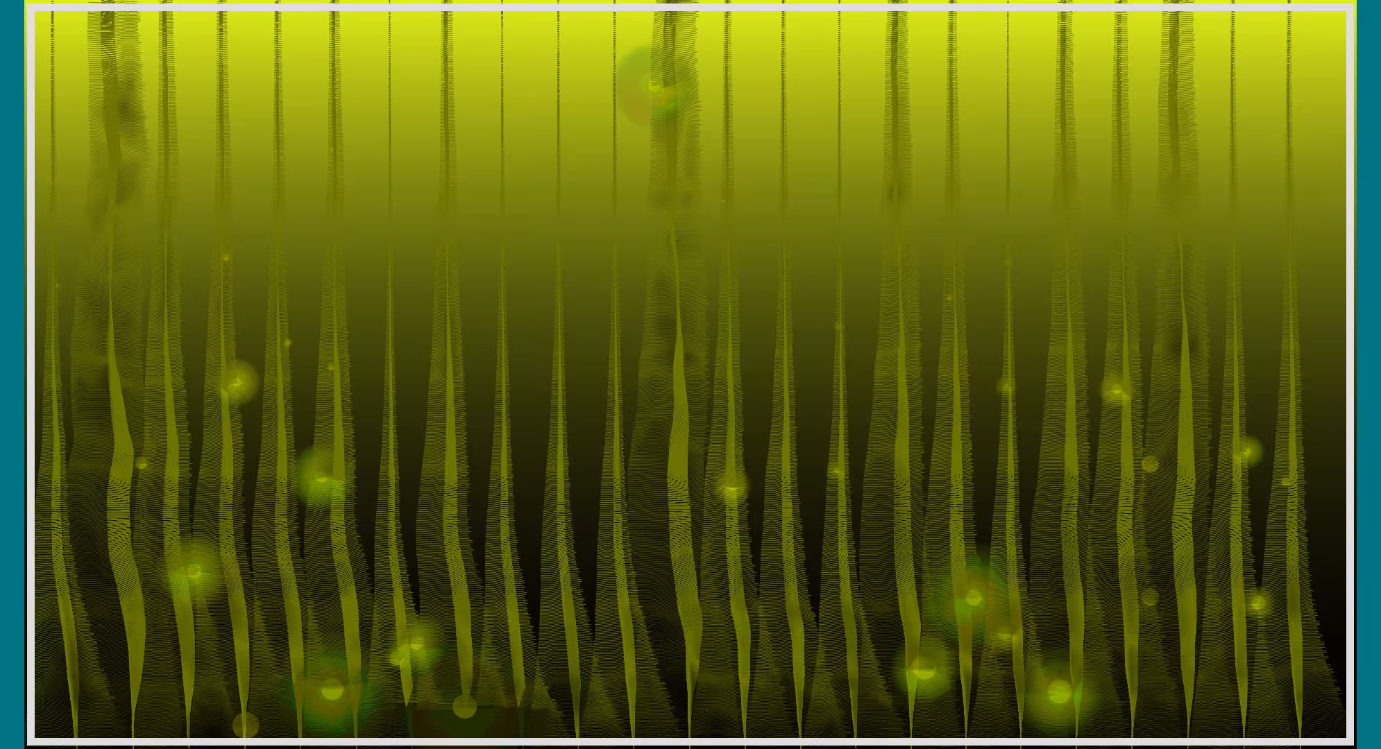 Saprophyte #3