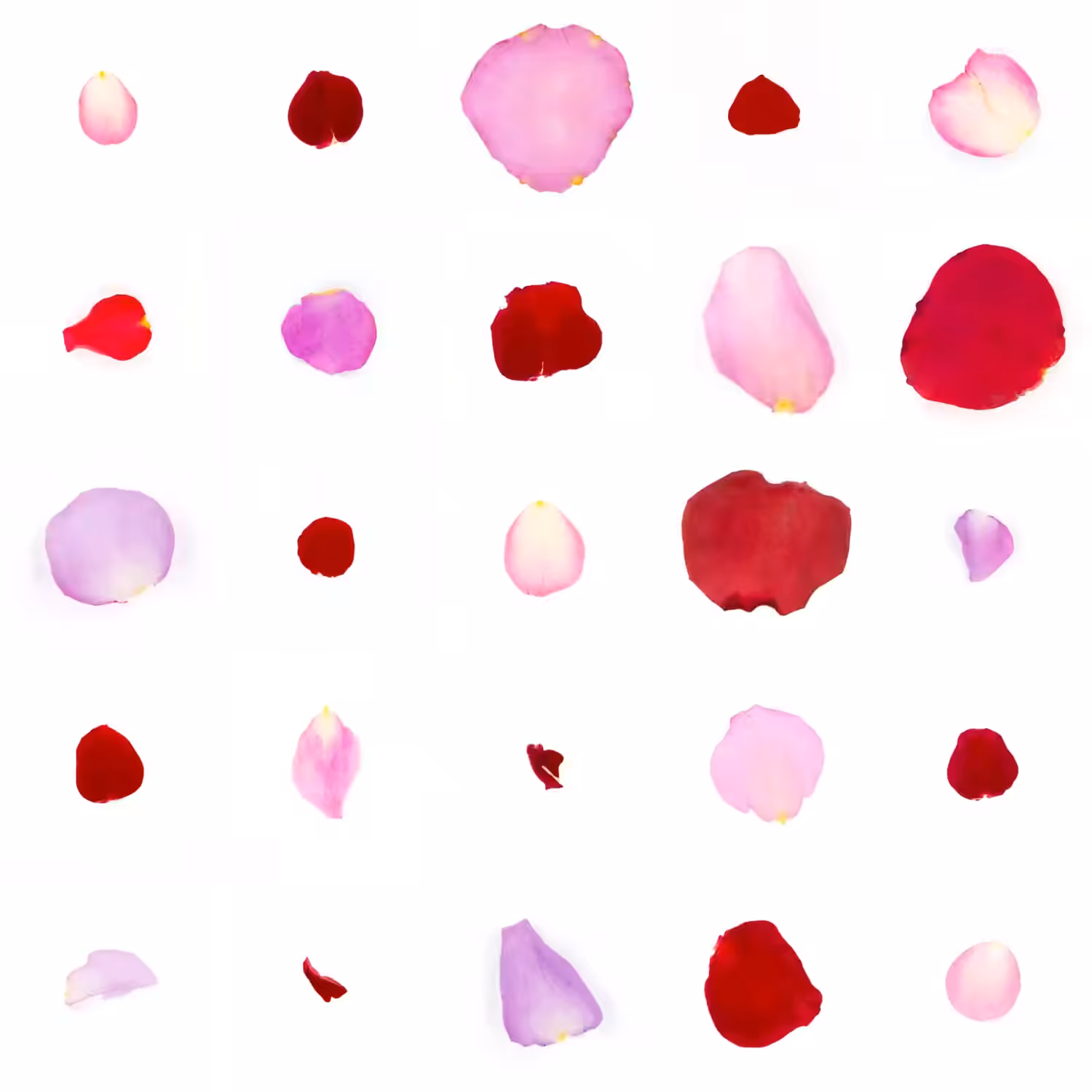 Infinite Petals 5x5#20654