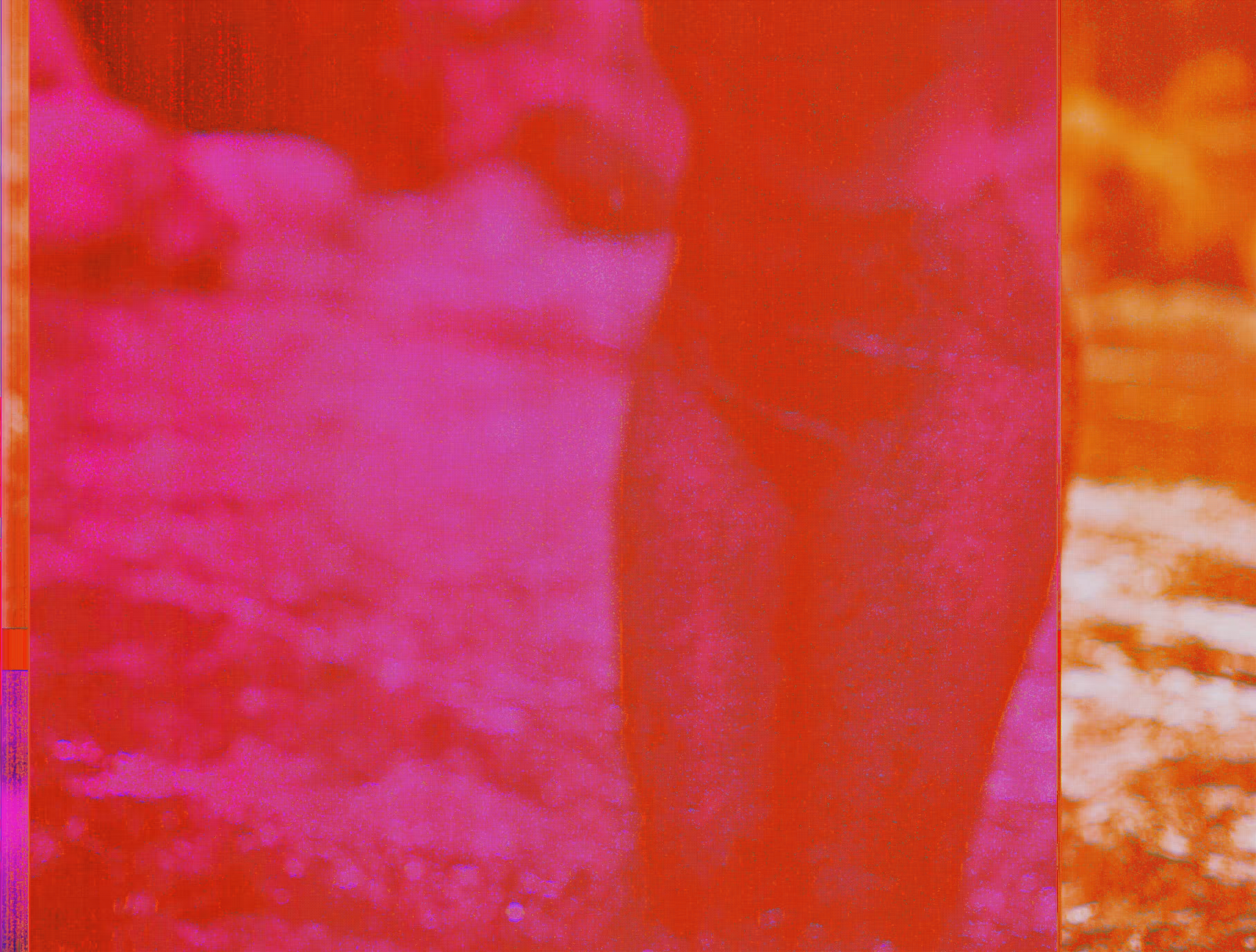 Noi232