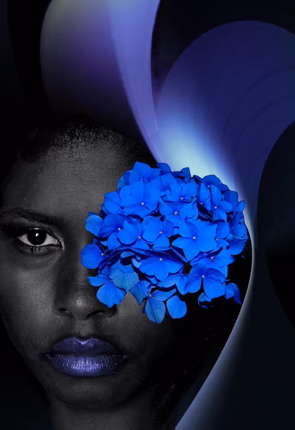 Hydrangea
