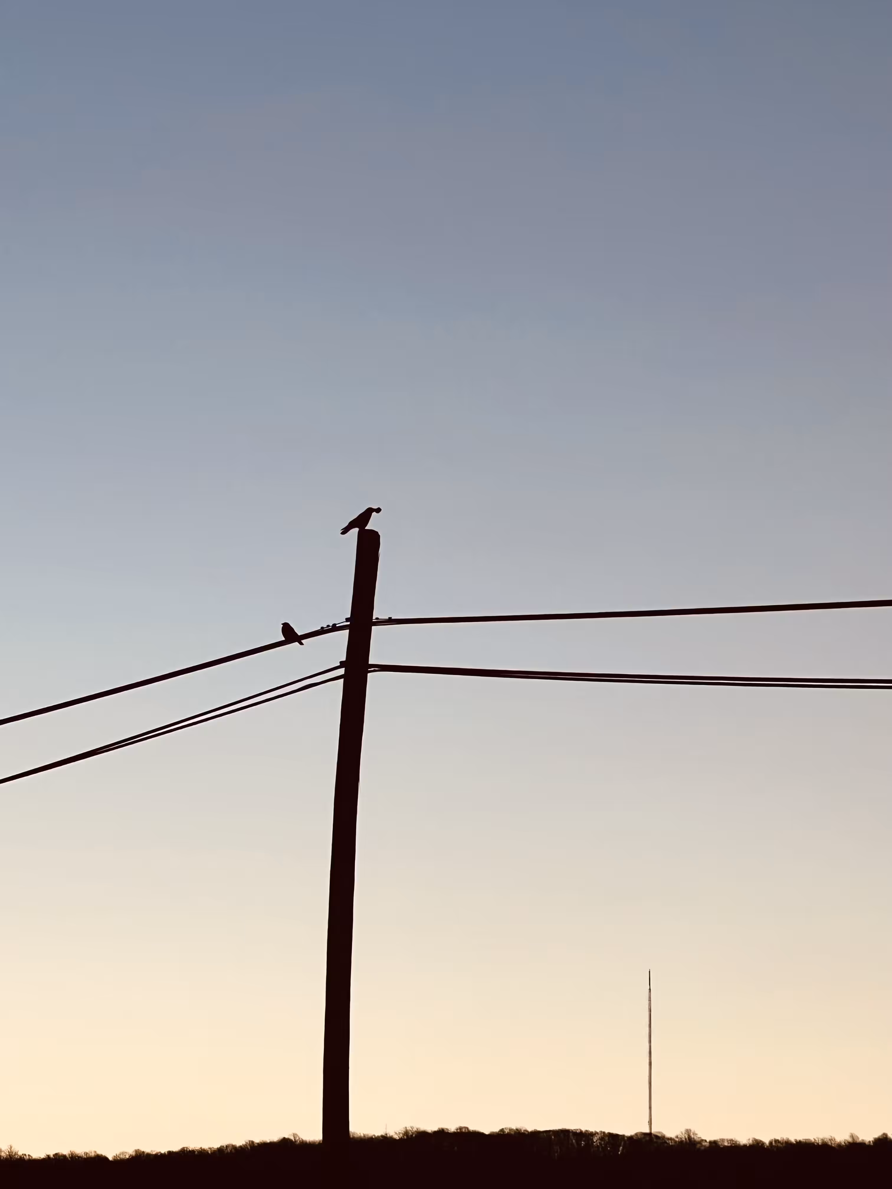 Dawn 