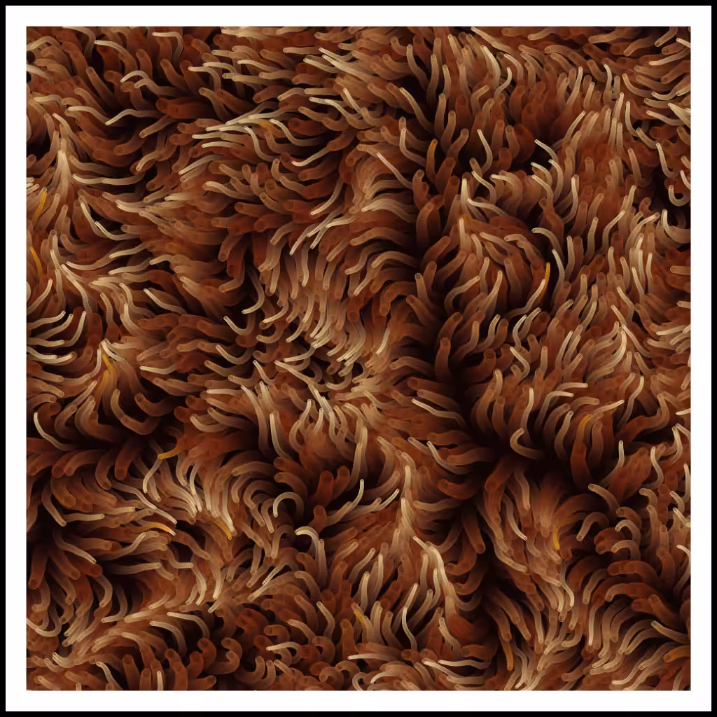 Studies of Motion  #39