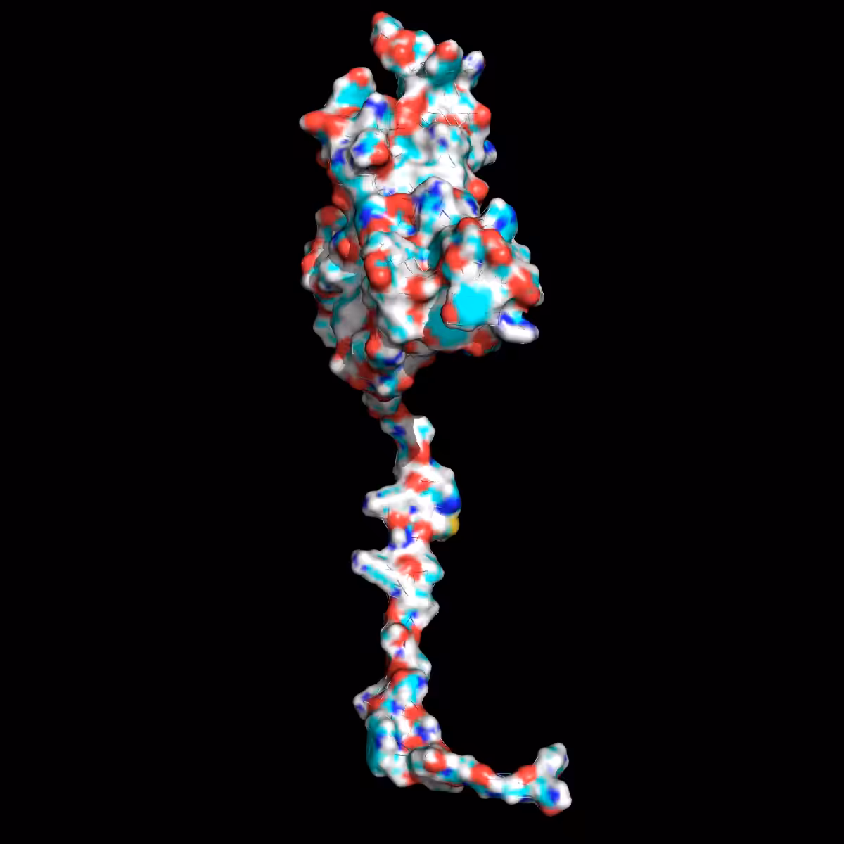 Mad Cow - Human Prion Protein surface