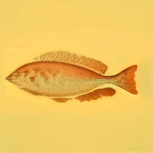 Fish Evolution