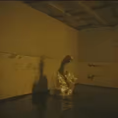 The Body Remembering