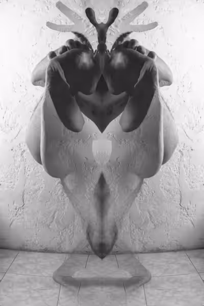 Symmetry