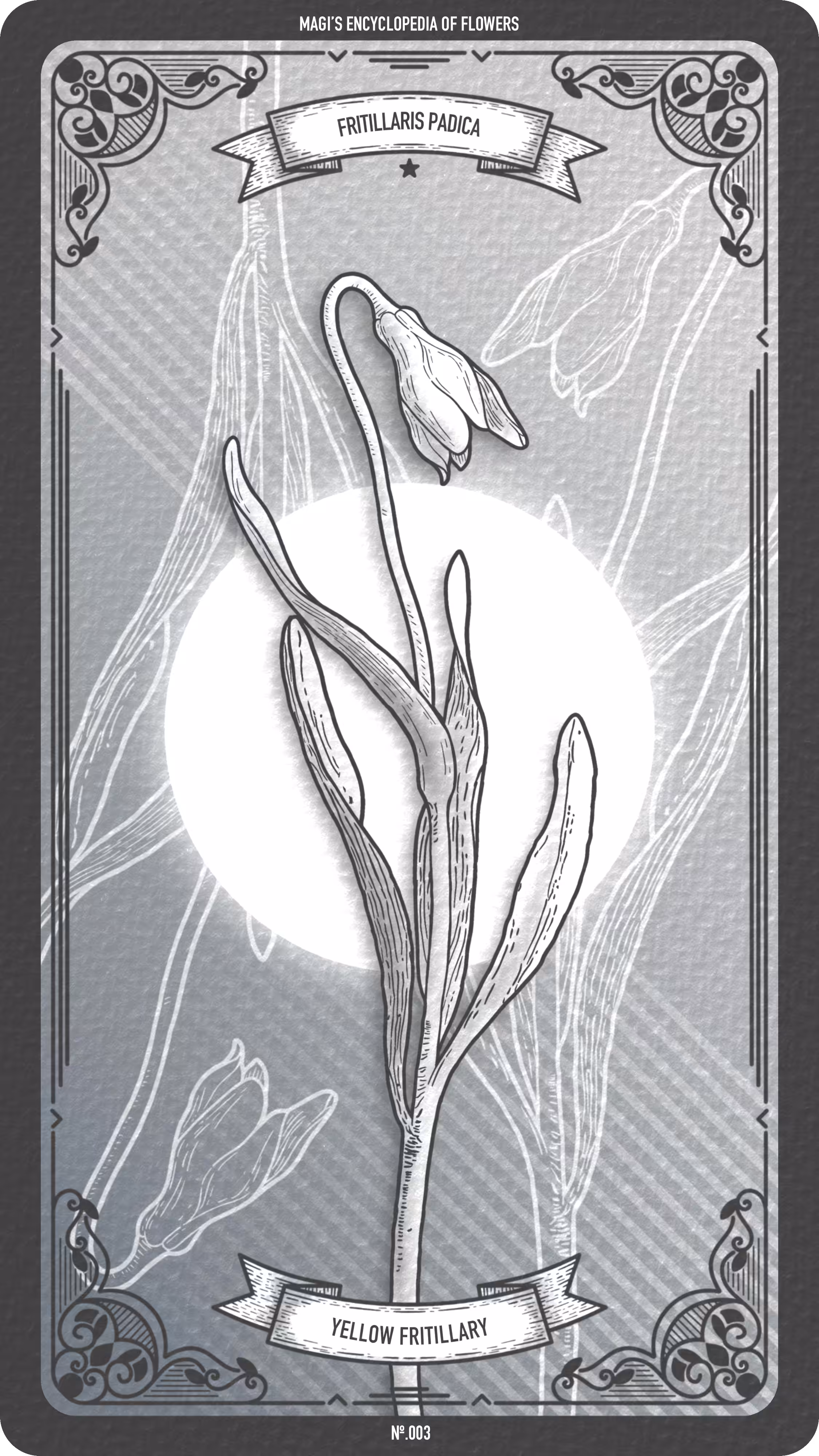 003 Yellow Fritillary