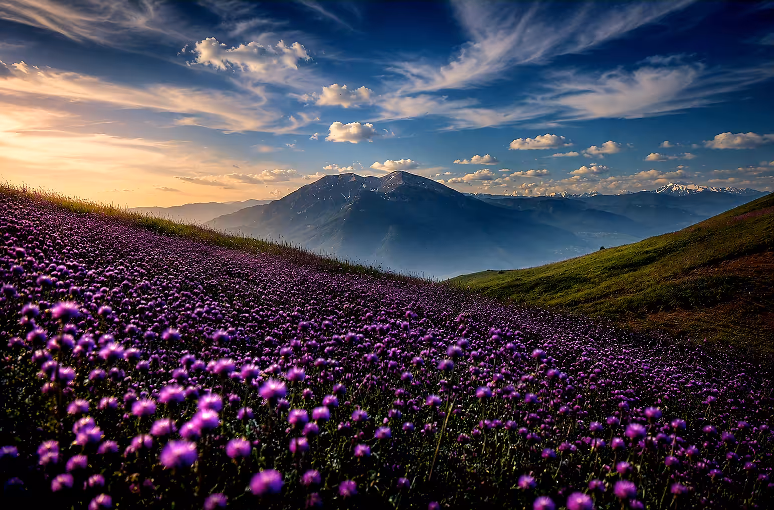 Where the Mountains Dream