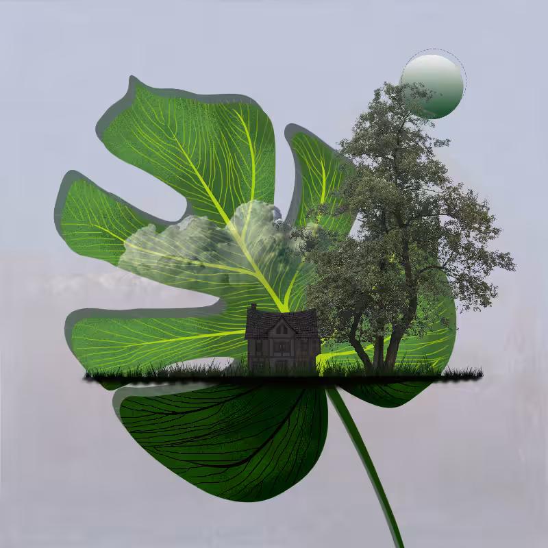 Live in Nature #36