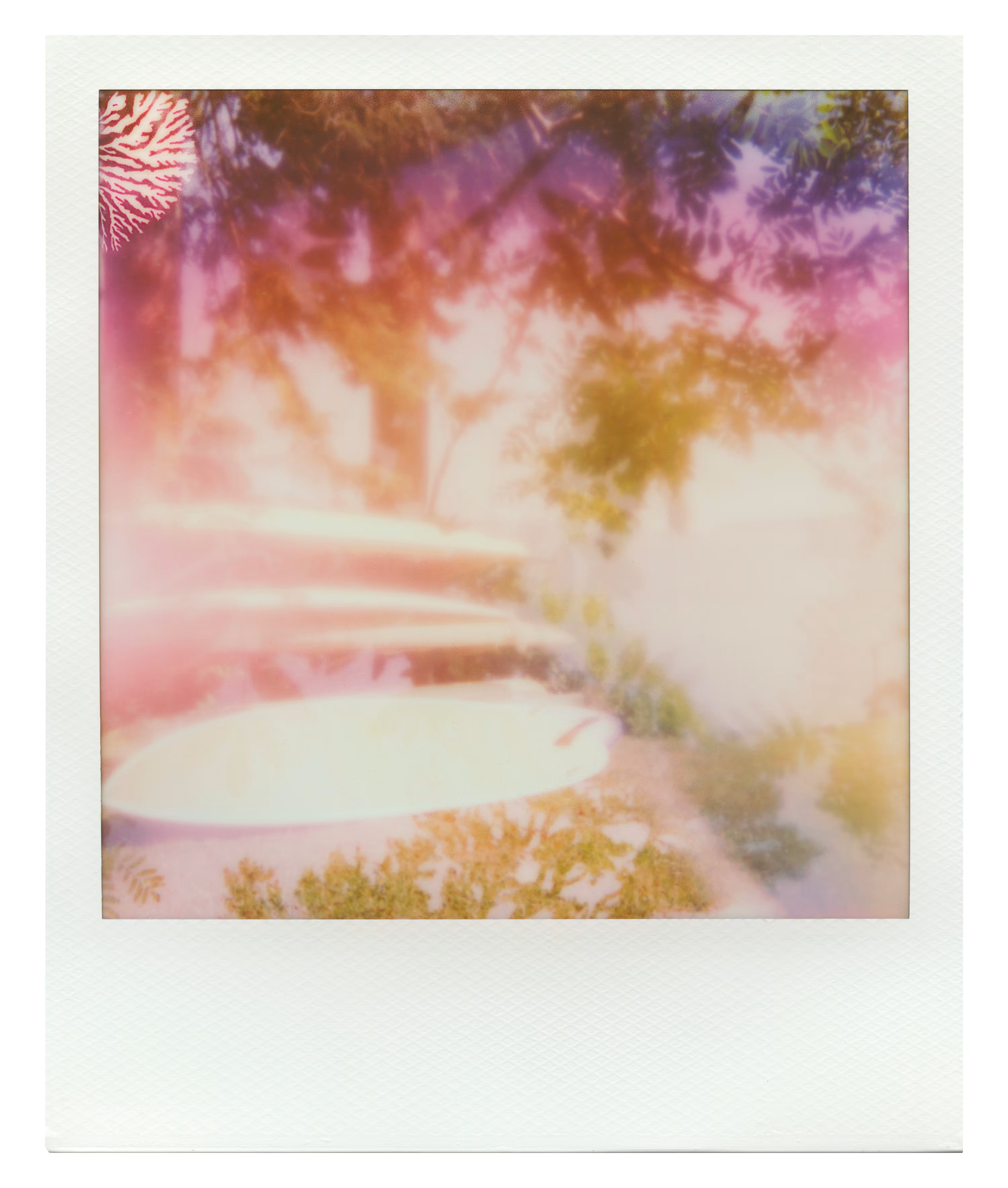 Endless Summer  |  42  | Manifestation